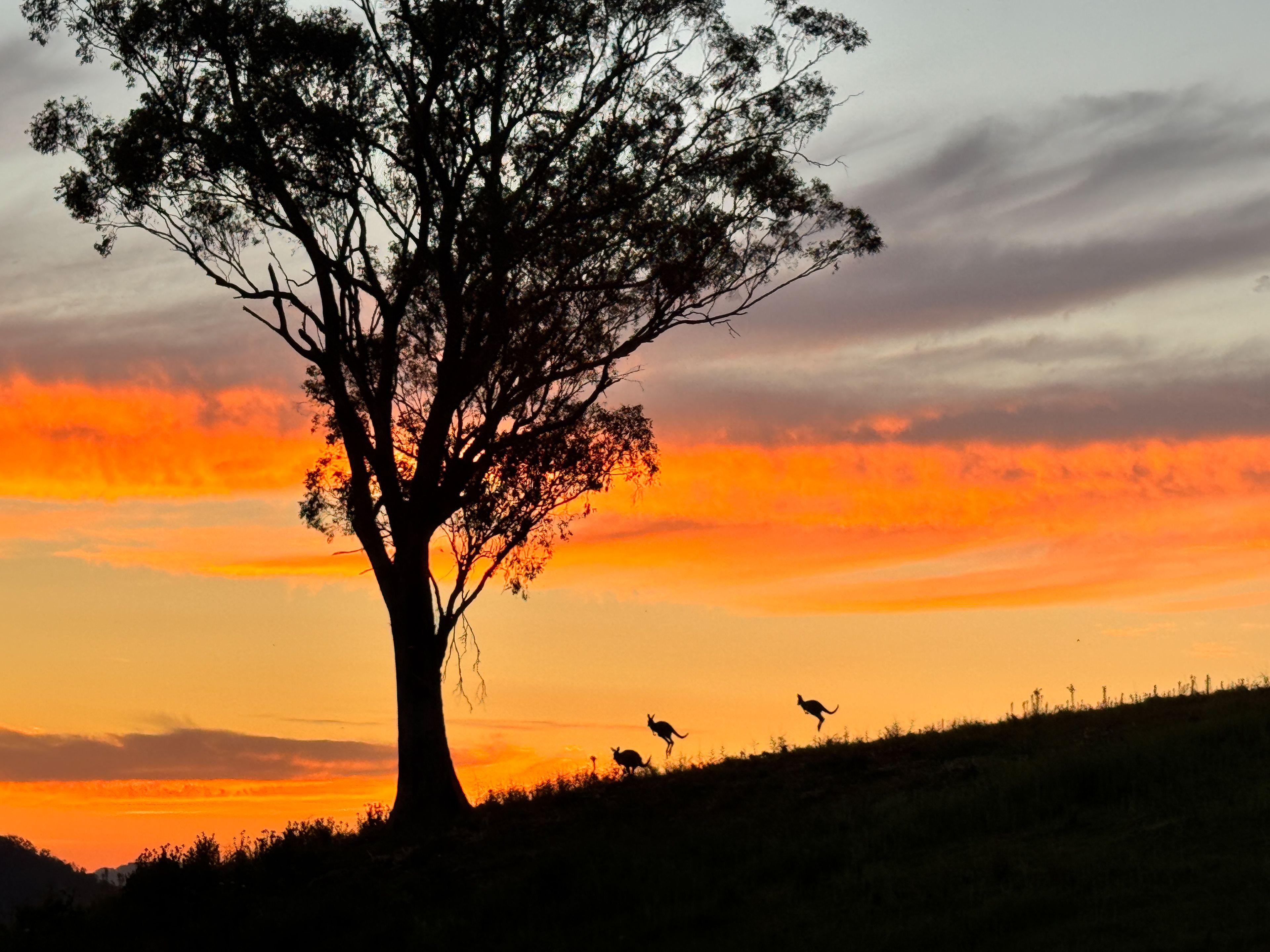 Stunning Lifestyle Property - Upper Hunter Valley