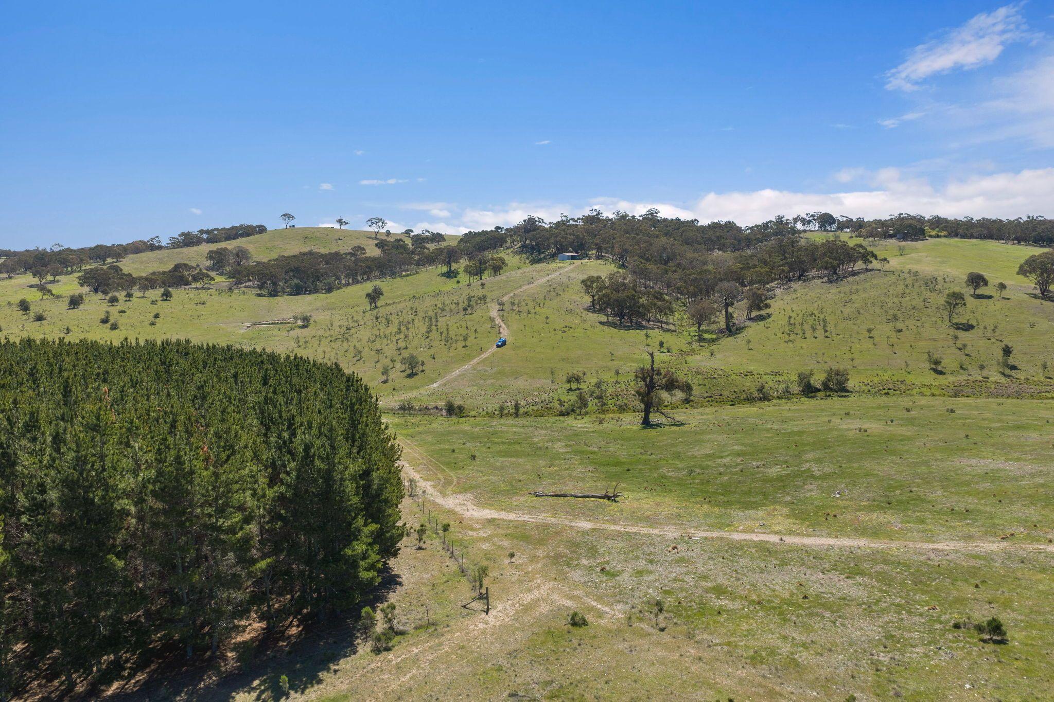 Move-In Ready Home with Exciting Subdivision Opportunity