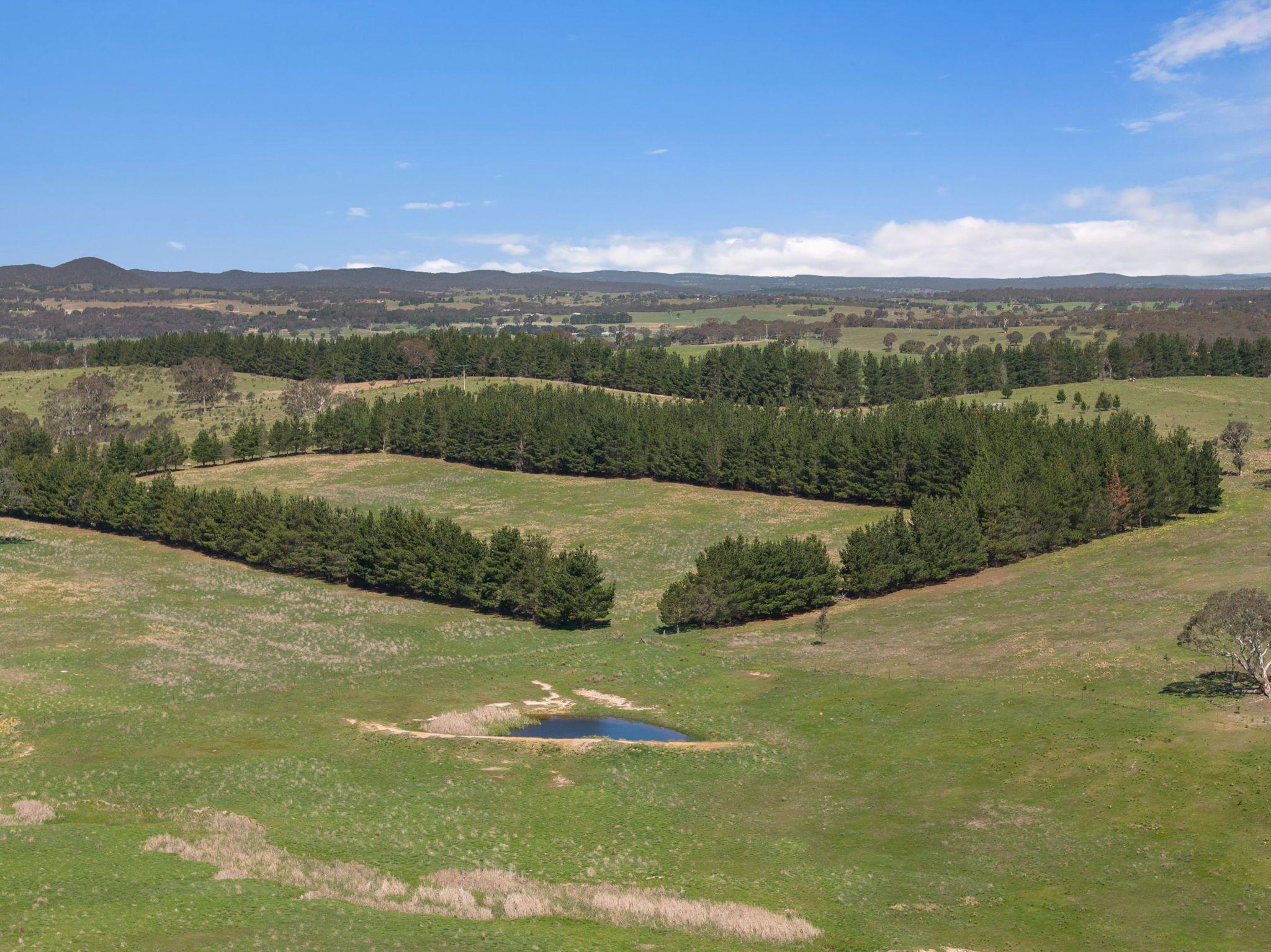 Move-In Ready Home with Exciting Subdivision Opportunity