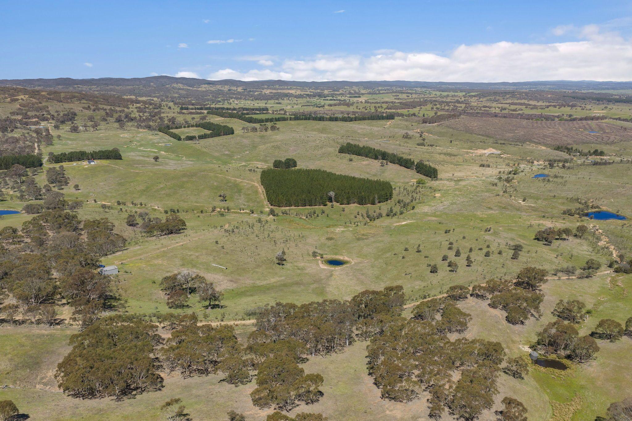 Move-In Ready Home with Exciting Subdivision Opportunity