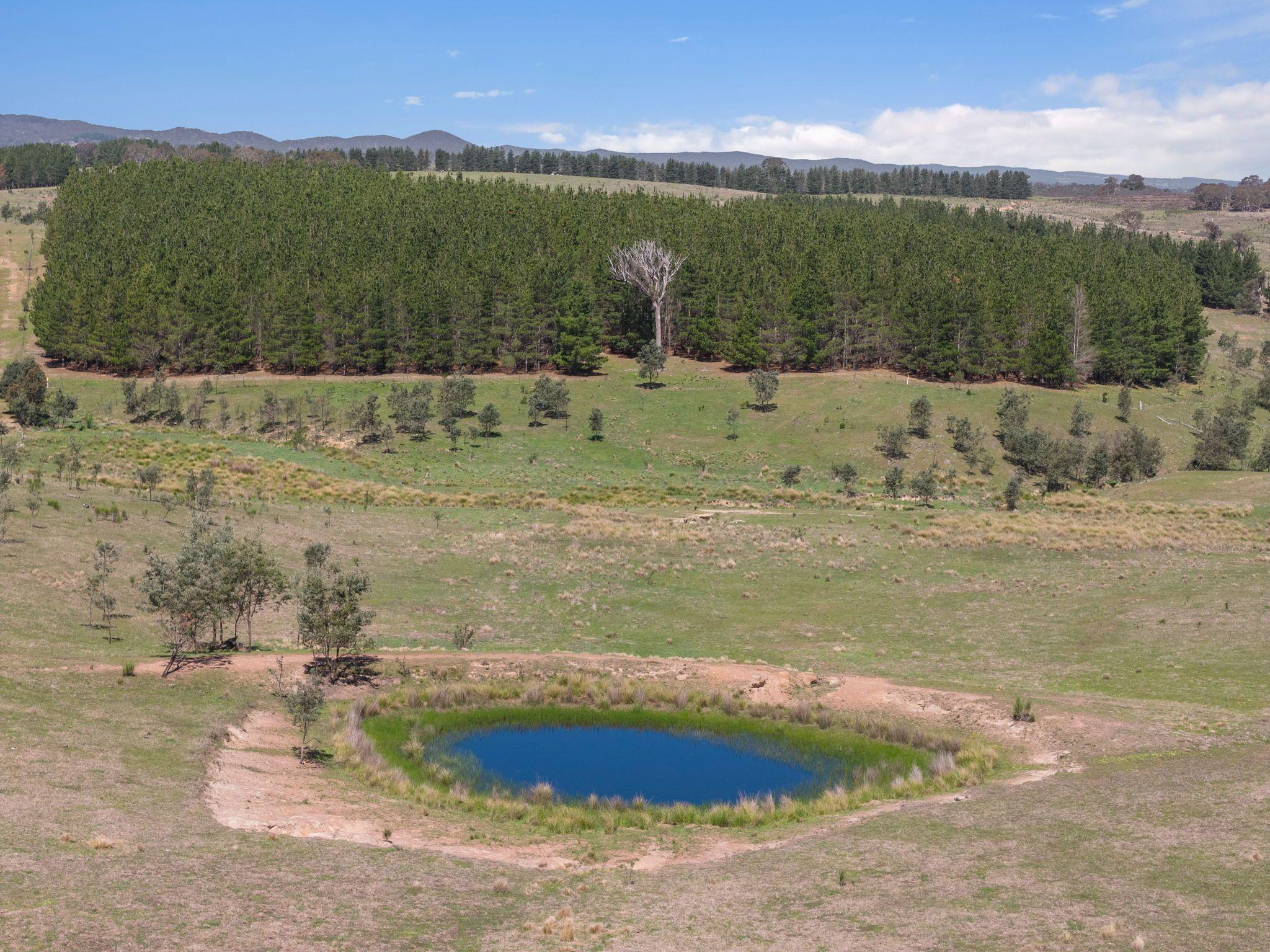 Move-In Ready Home with Exciting Subdivision Opportunity