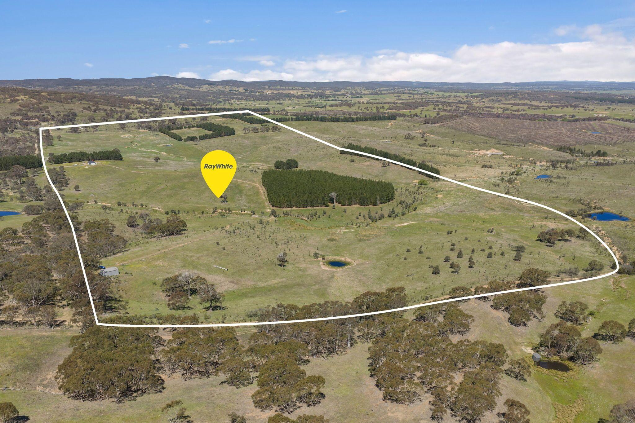 Move-In Ready Home with Exciting Subdivision Opportunity