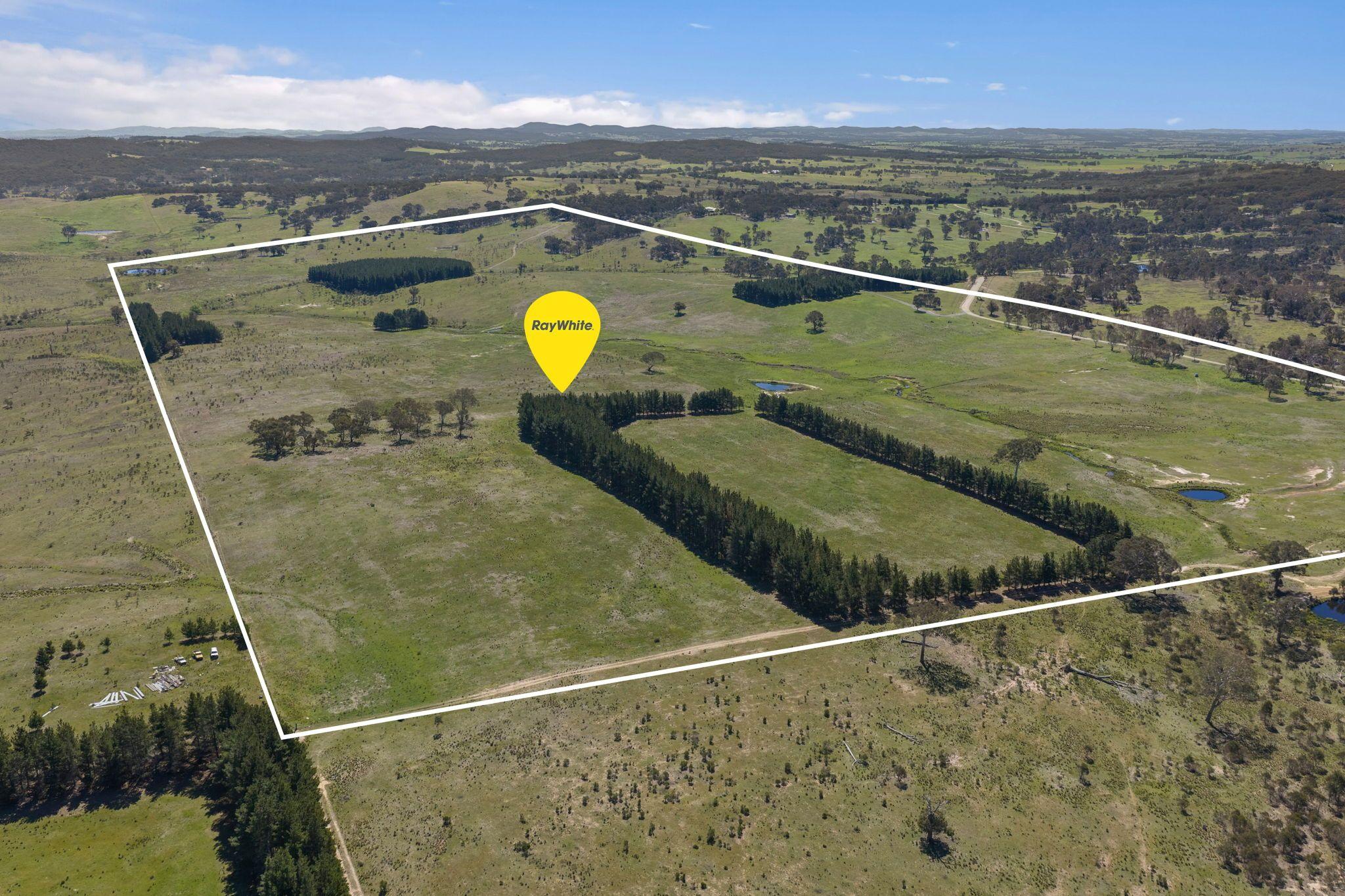 Move-In Ready Home with Exciting Subdivision Opportunity