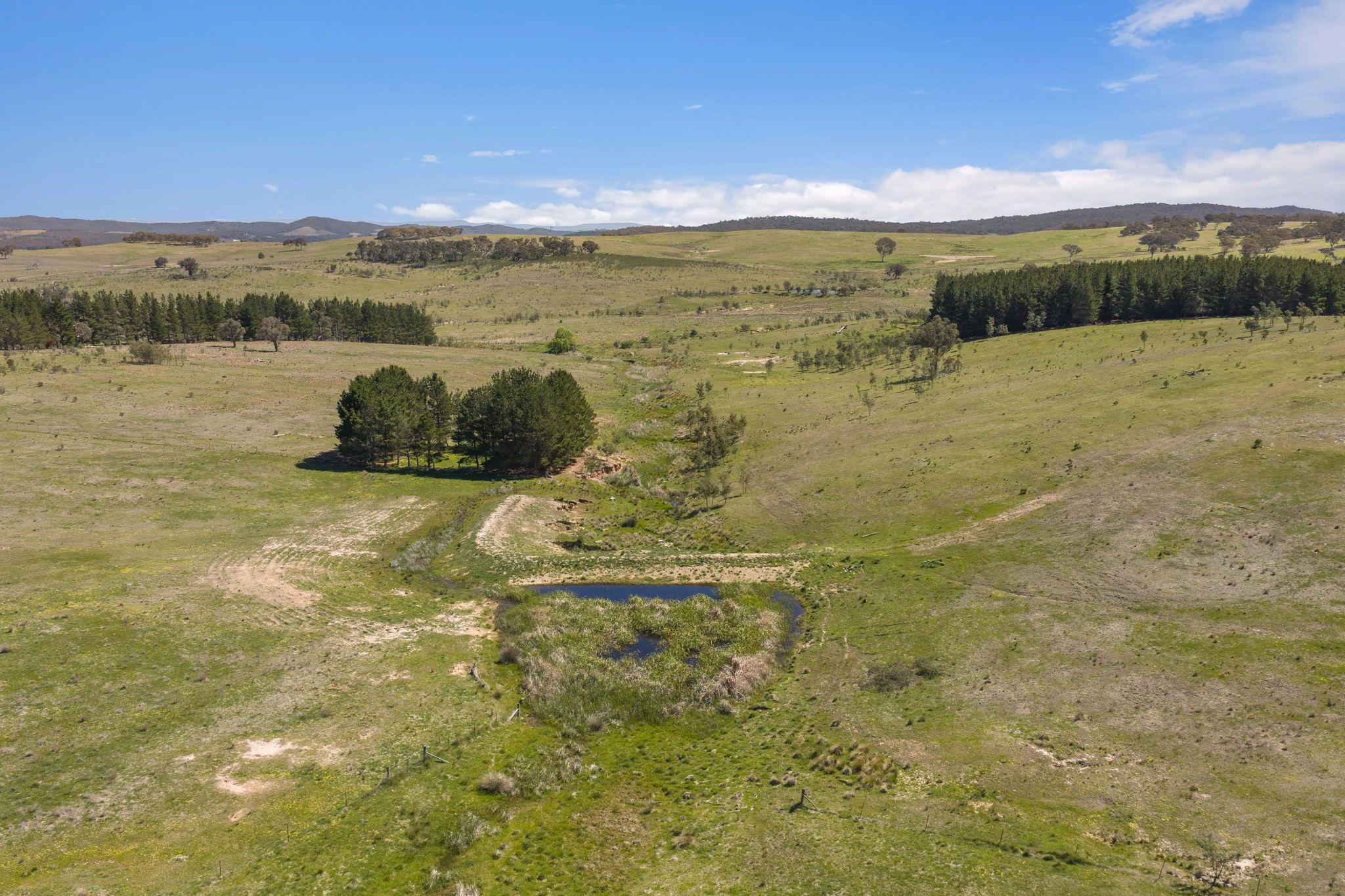 Move-In Ready Home with Exciting Subdivision Opportunity