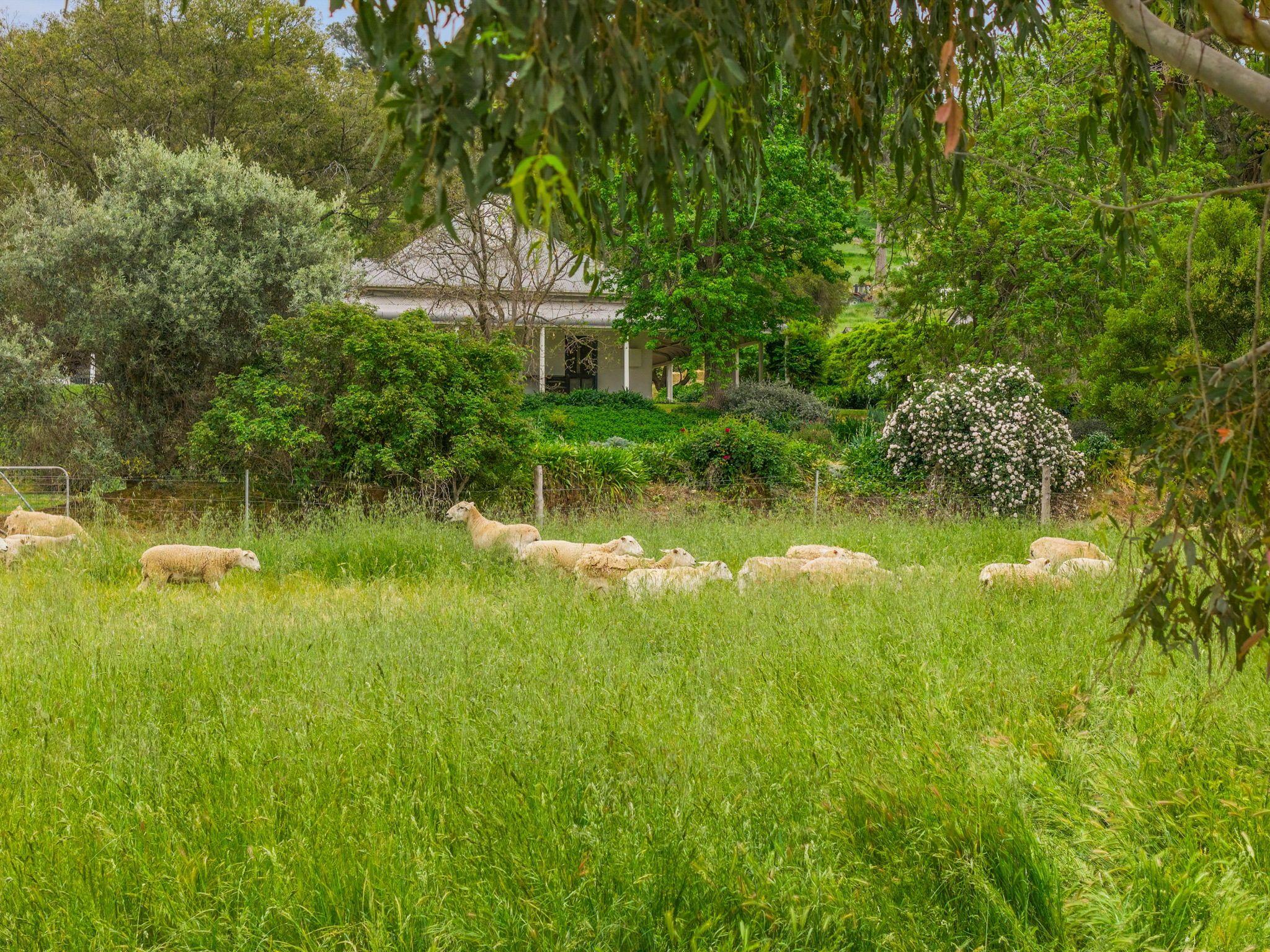 Unrepeatable 114 Year Legacy Estate