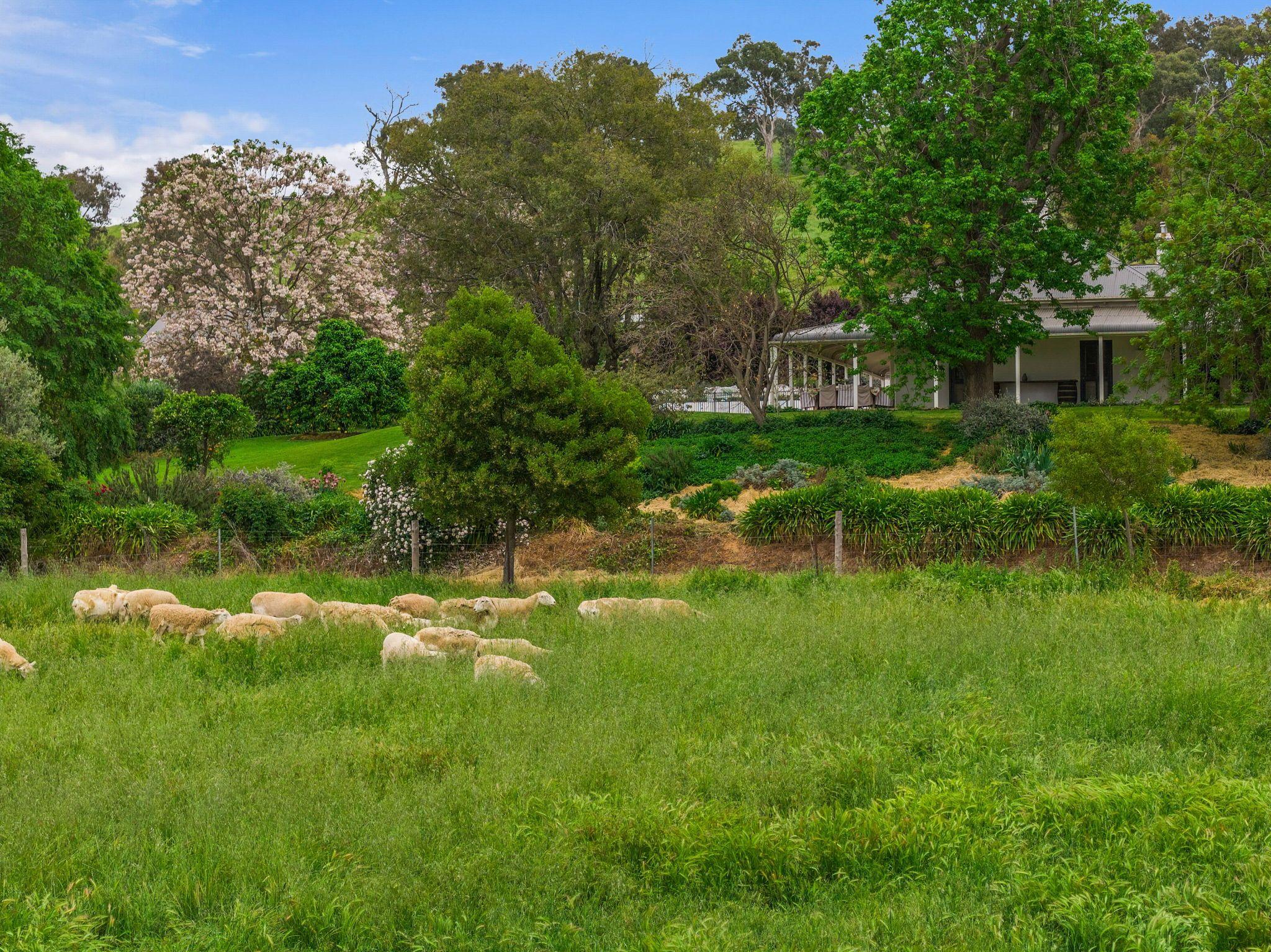 Unrepeatable 114 Year Legacy Estate