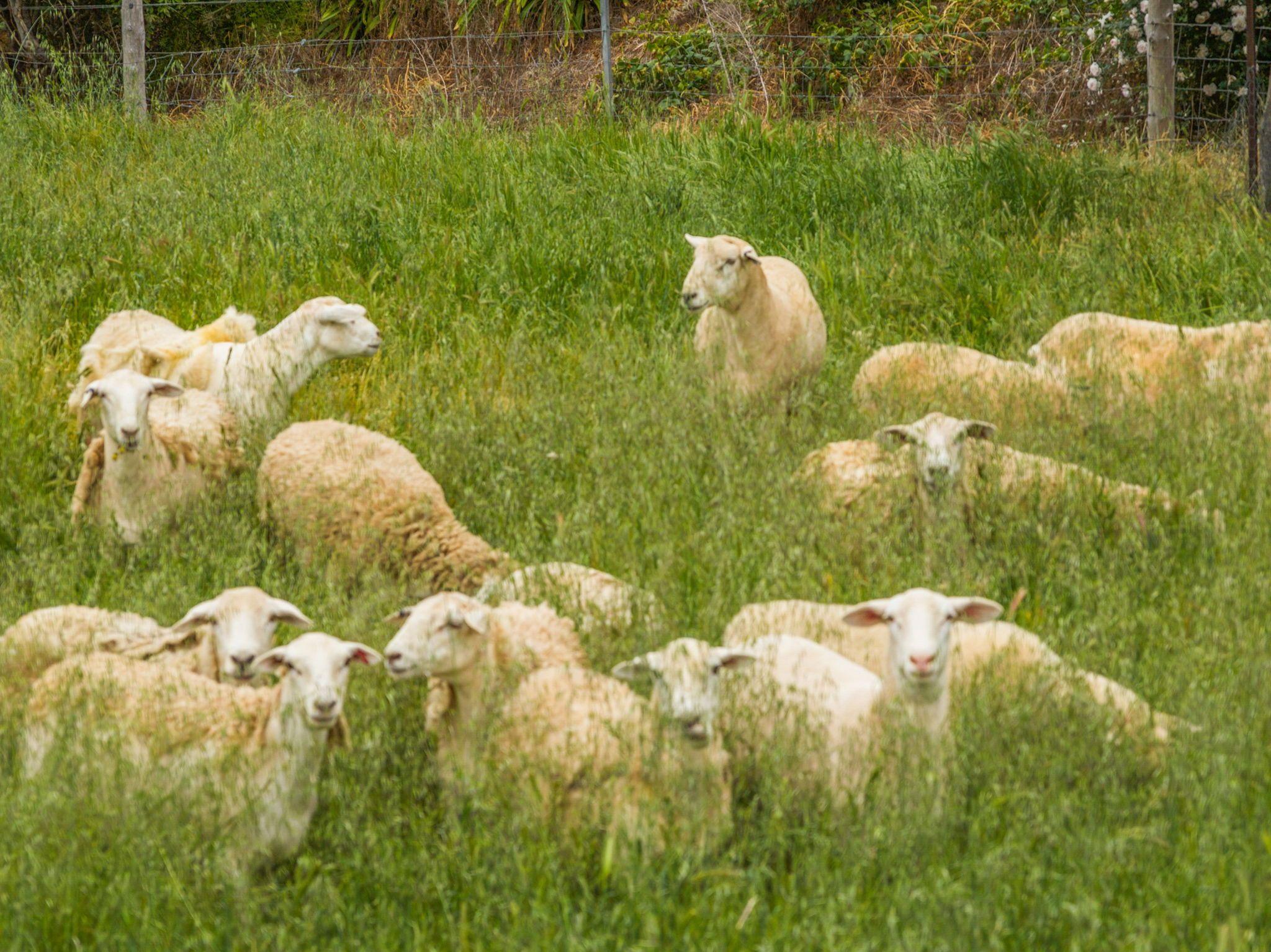 Unrepeatable 114 Year Legacy Estate