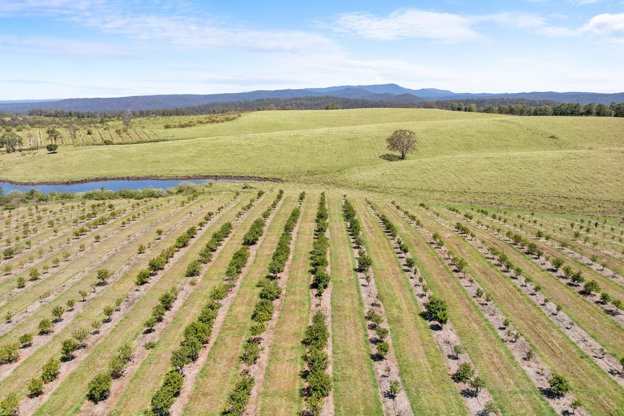 Premium Horticultural Enterprise