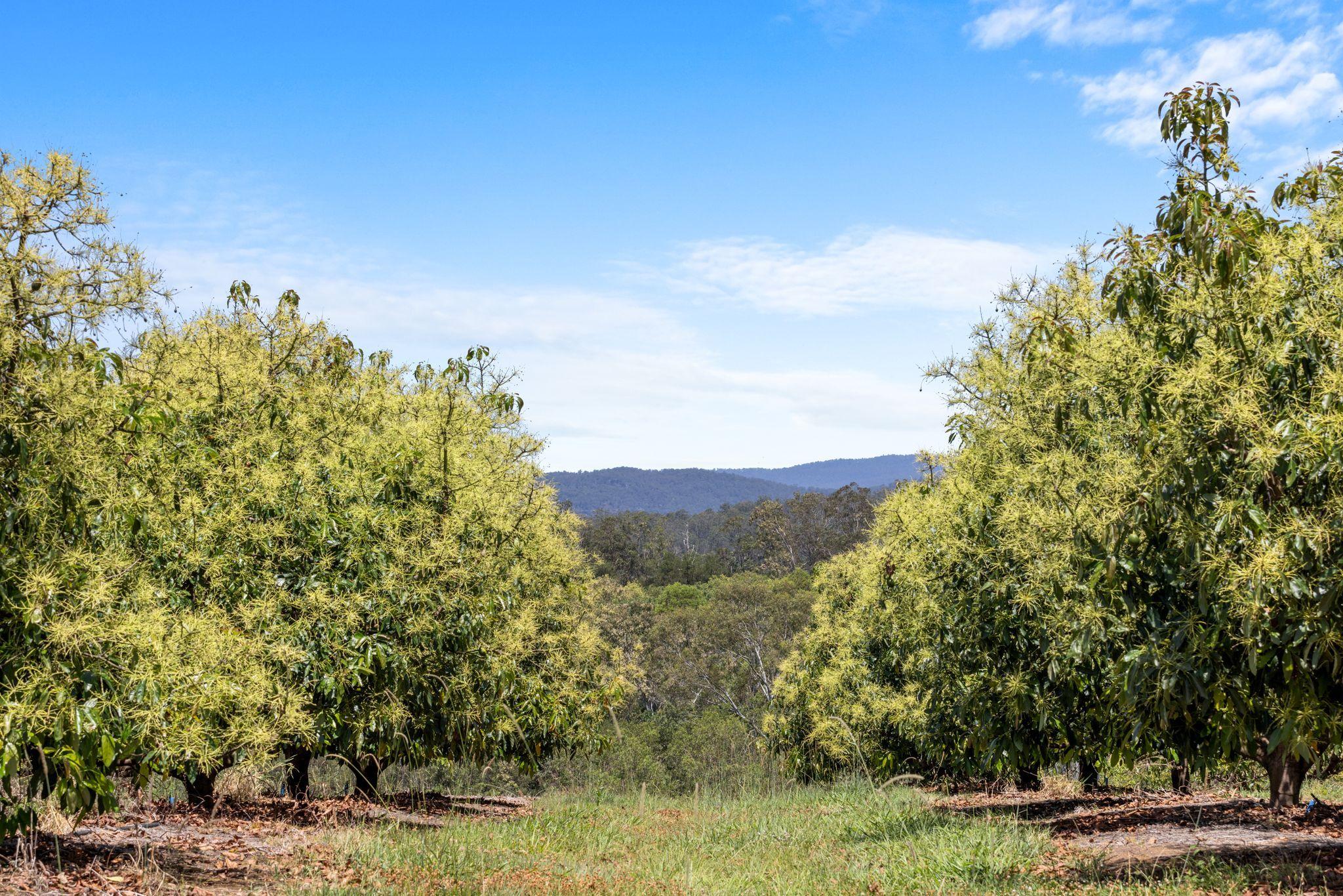 Premium Horticultural Enterprise