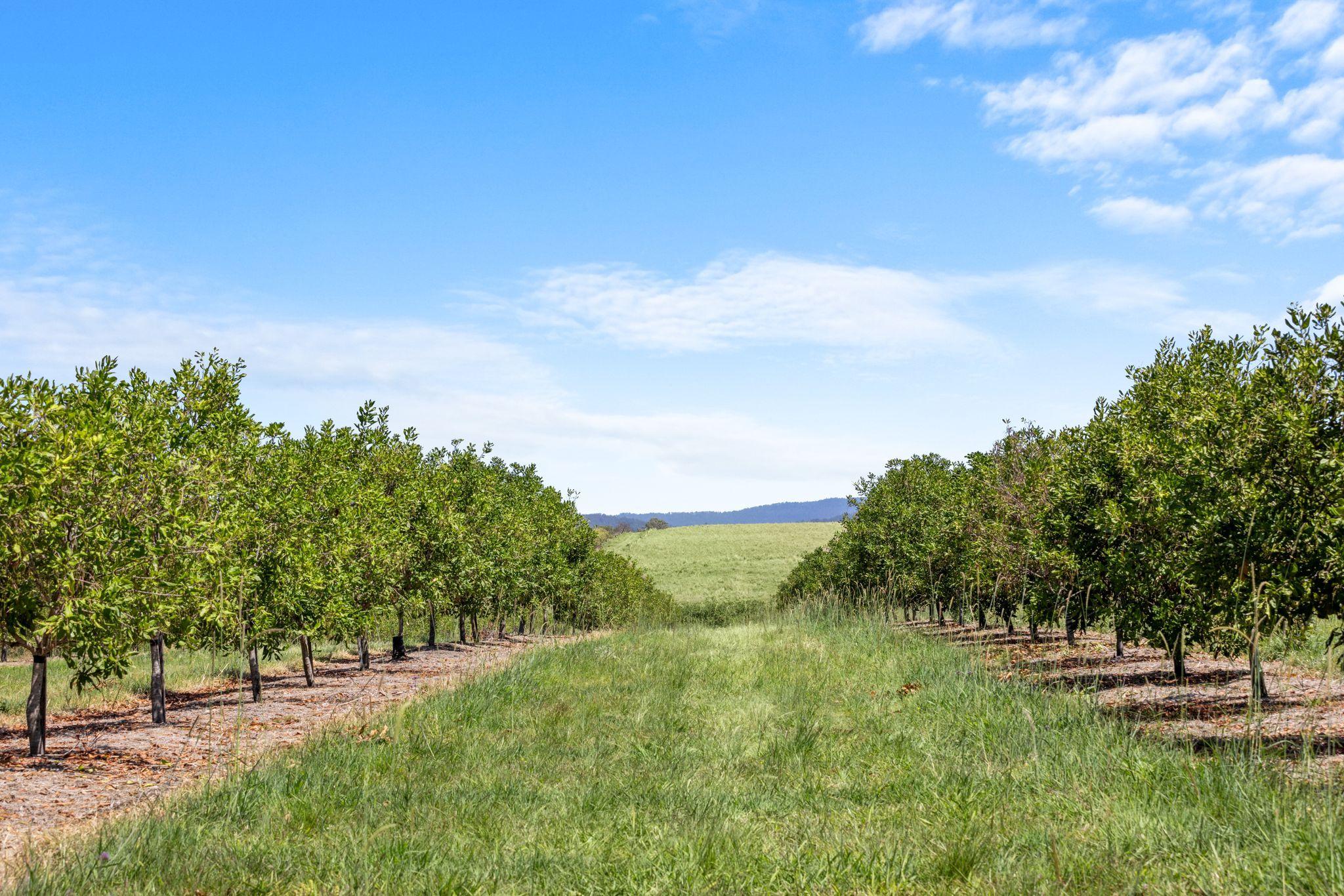 Premium Horticultural Enterprise