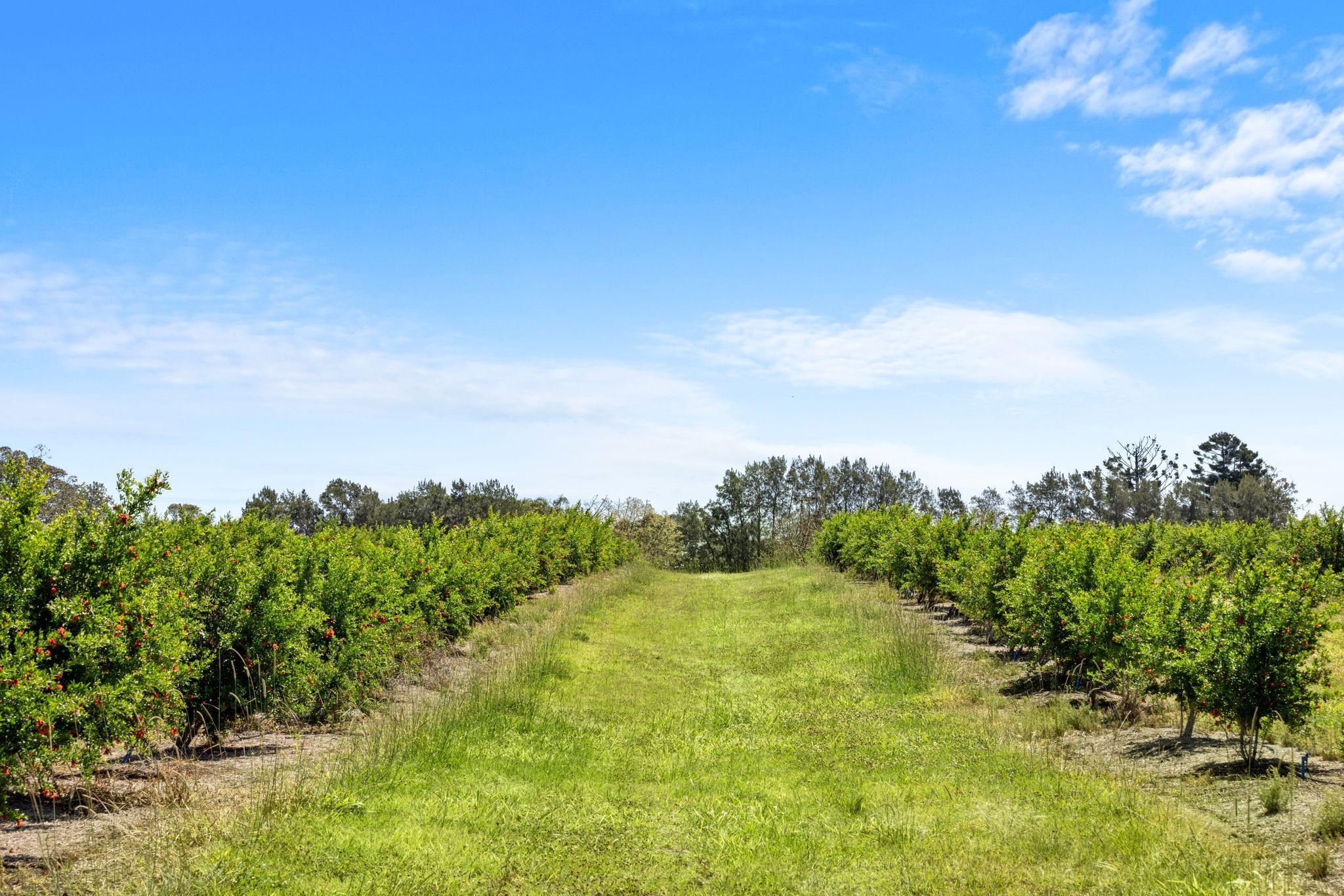 Premium Horticultural Enterprise