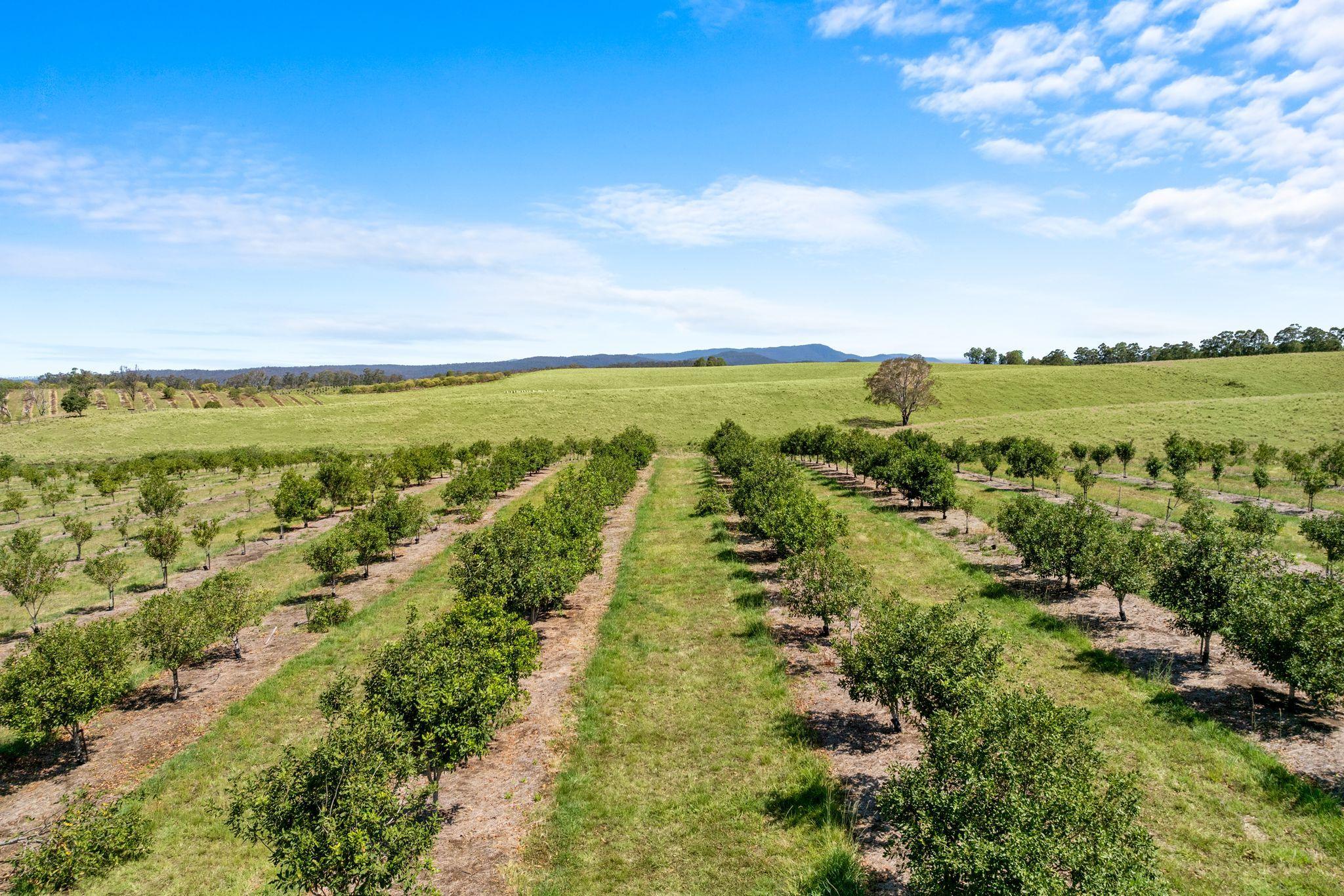 Premium Horticultural Enterprise