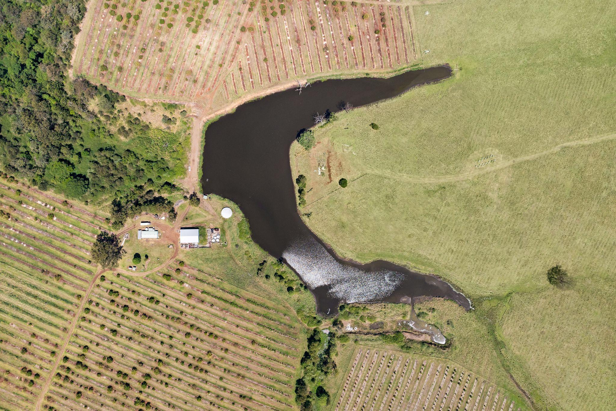 Premium Horticultural Enterprise