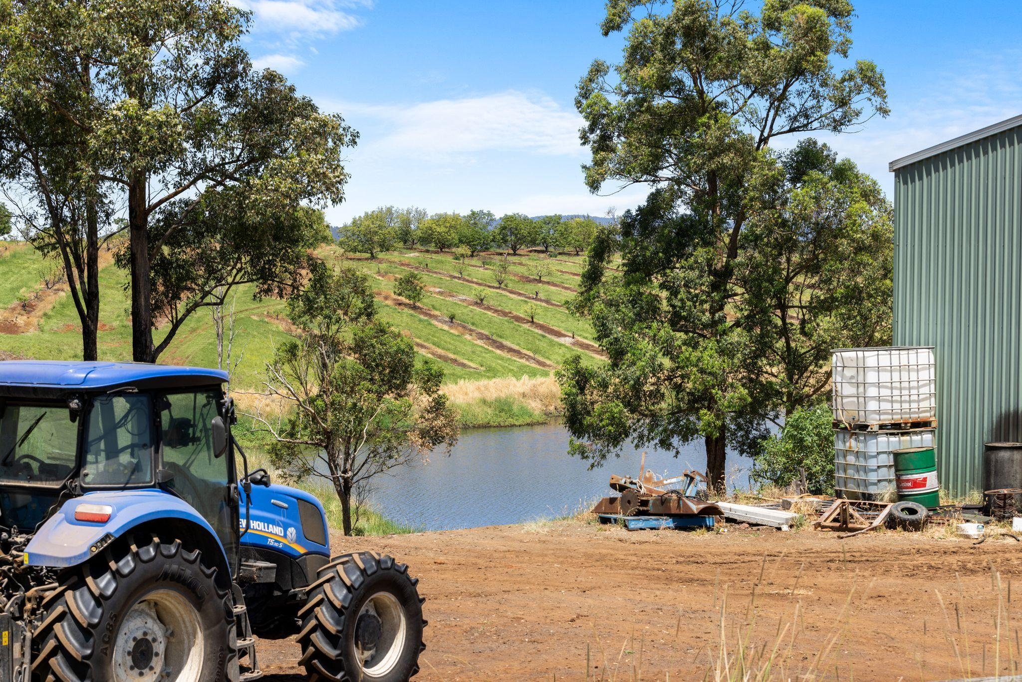 Premium Horticultural Enterprise