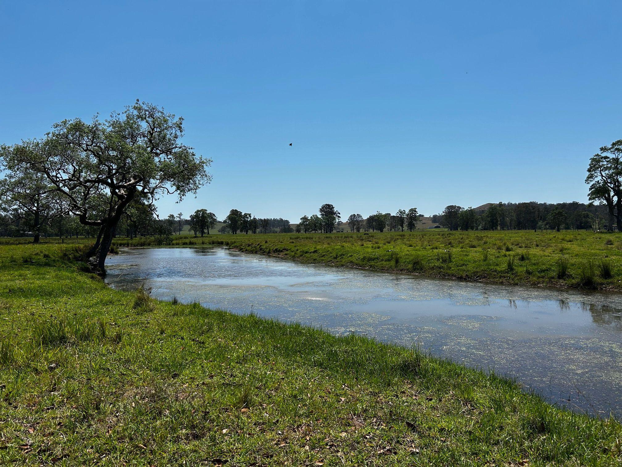 Prime 80-Acre Flood-Free Creek Flats