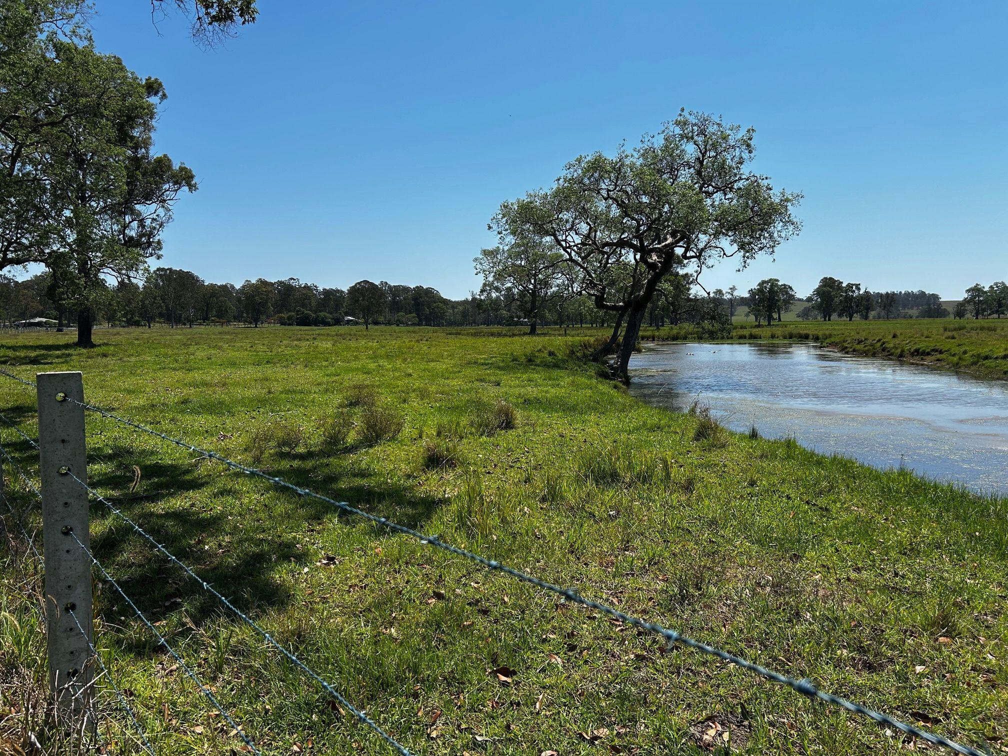Prime 80-Acre Flood-Free Creek Flats