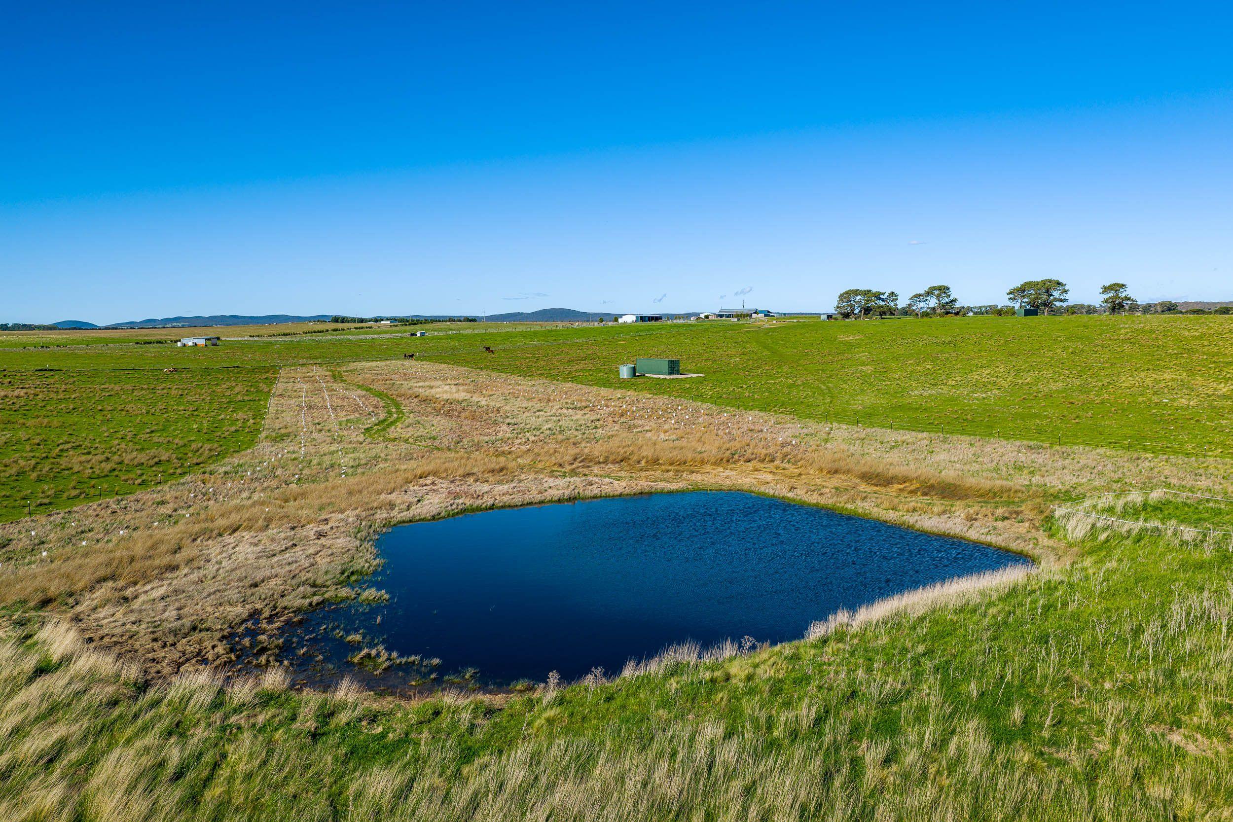 The Boutique Equine Lifestyle - Refined and Ready