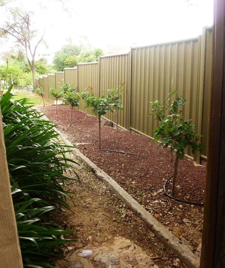 PLEASE CALL RAY WHITE OFFICE TO BOOK A VIEWING 03 57942777