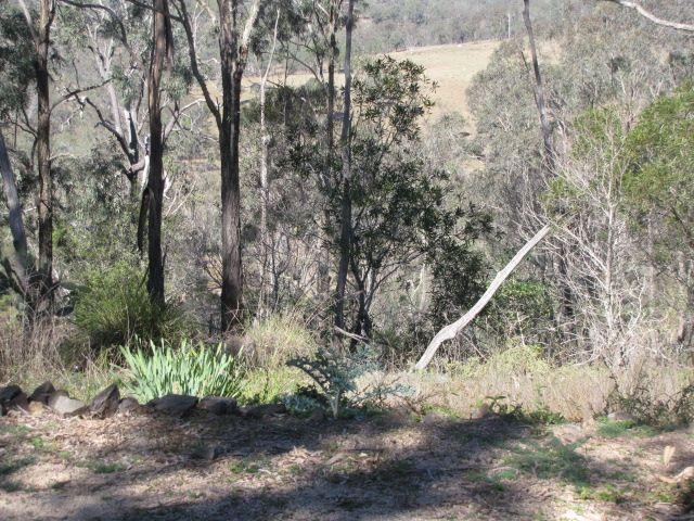 Lifestyle Acreage - 6.21 Hectares Just Minutes from Cooyar