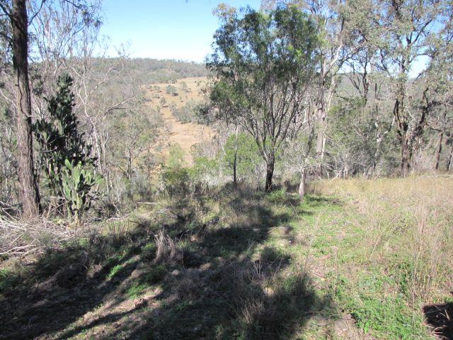 Lifestyle Acreage - 6.21 Hectares Just Minutes from Cooyar