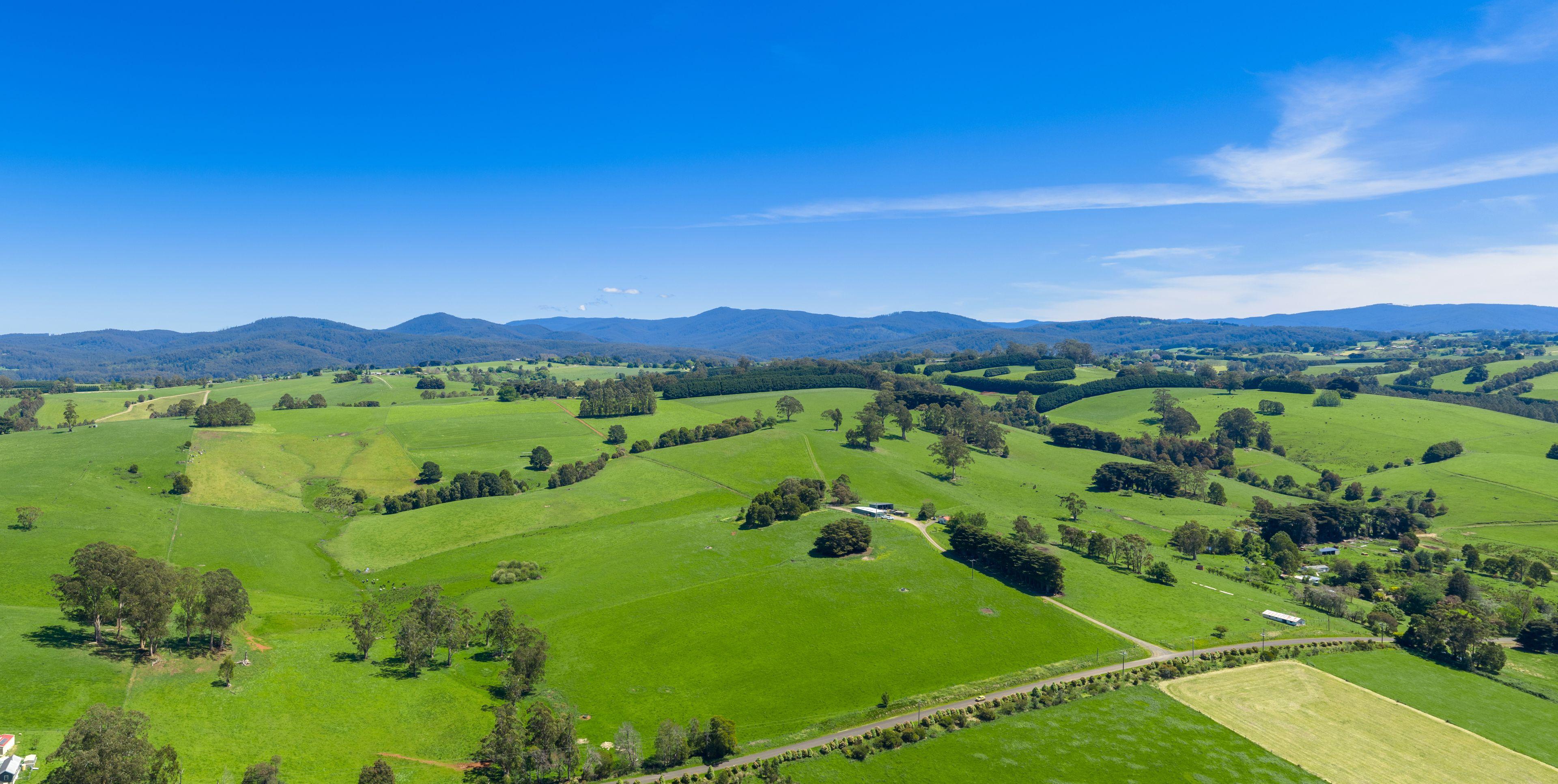 Premium Rural Real Estate