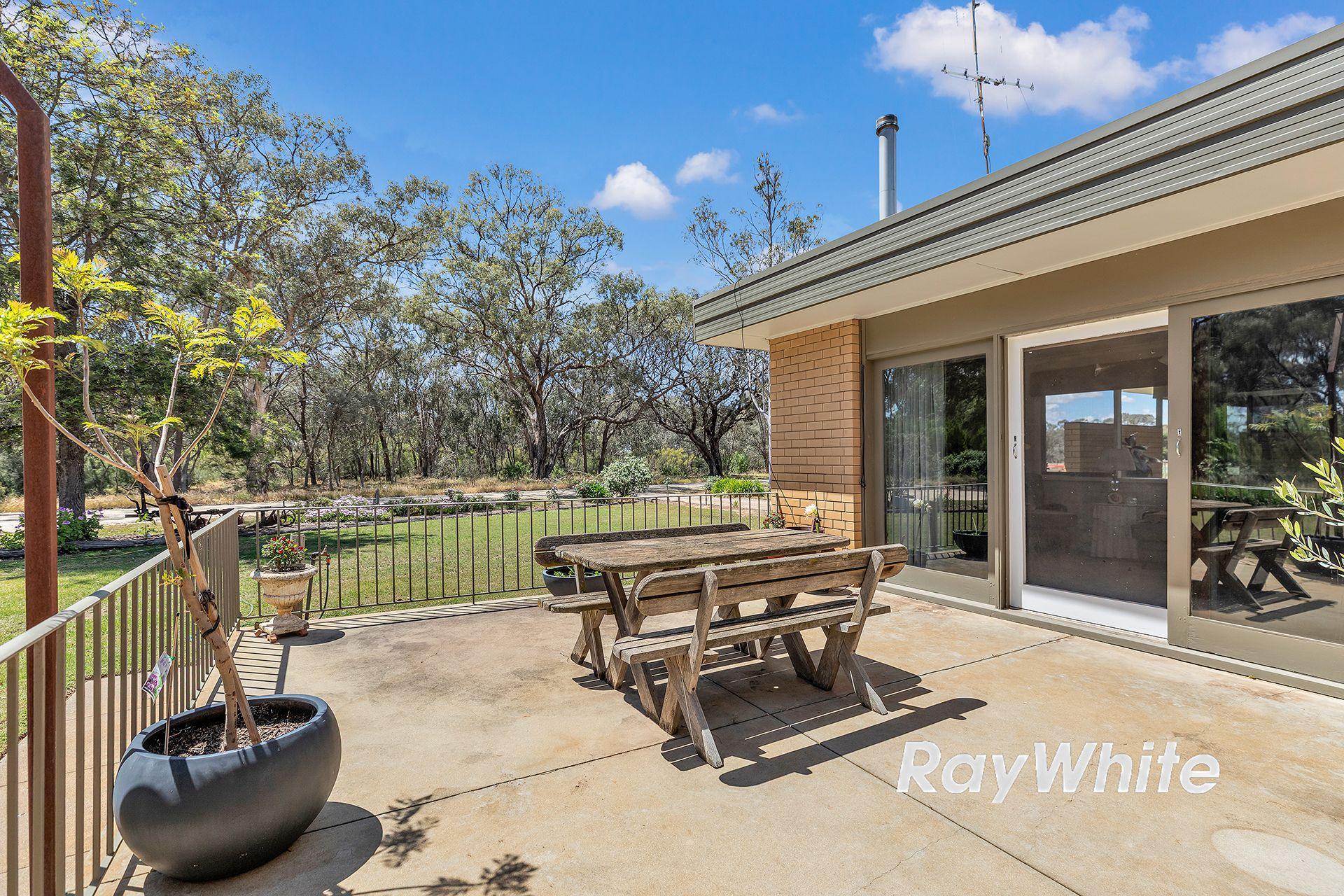 Peaceful Living Near the Murray River