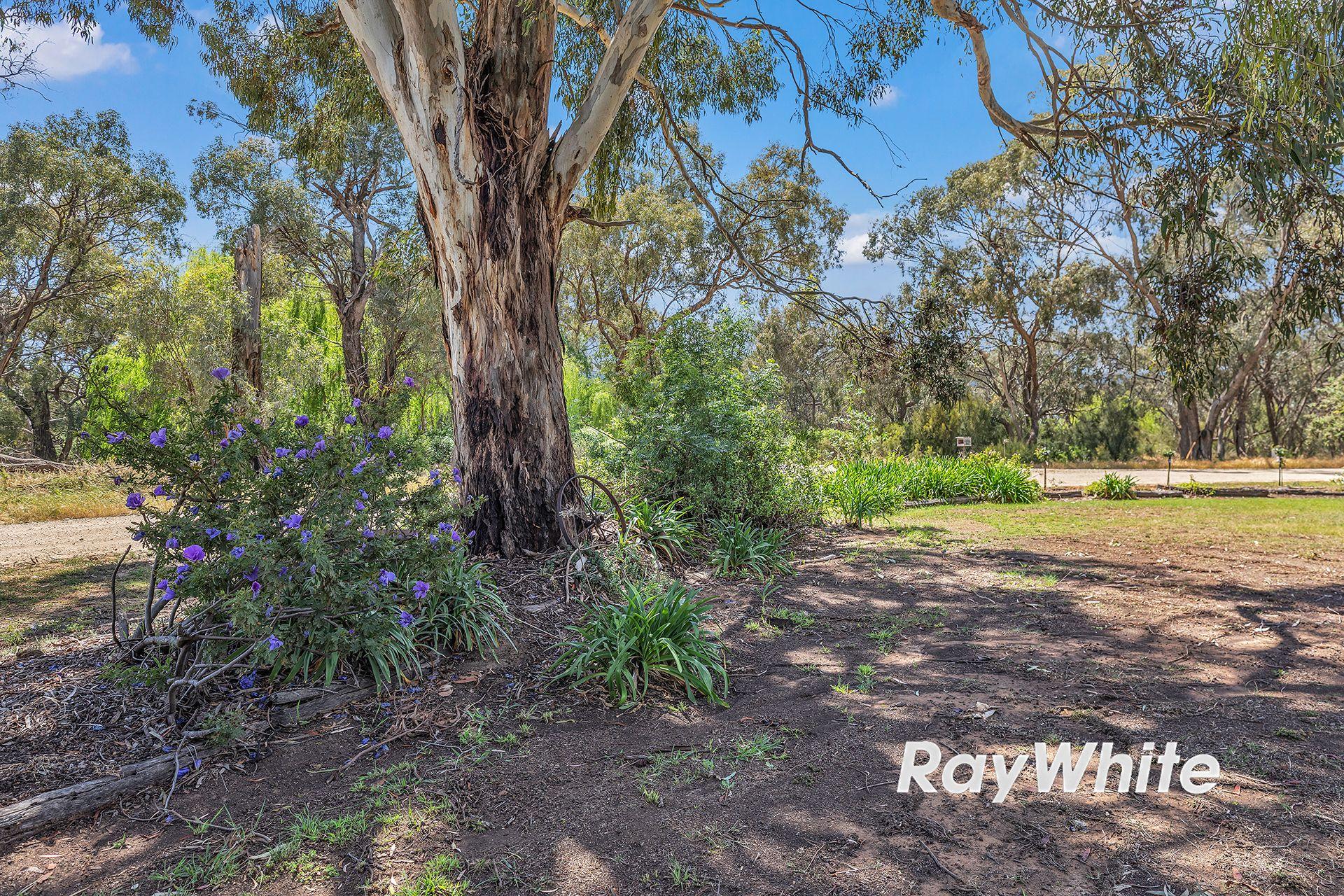 Peaceful Living Near the Murray River