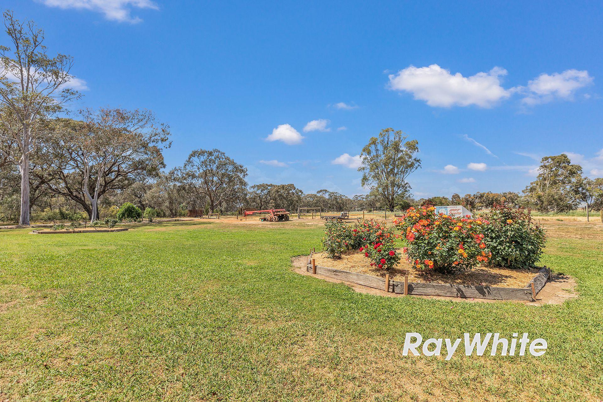 Peaceful Living Near the Murray River