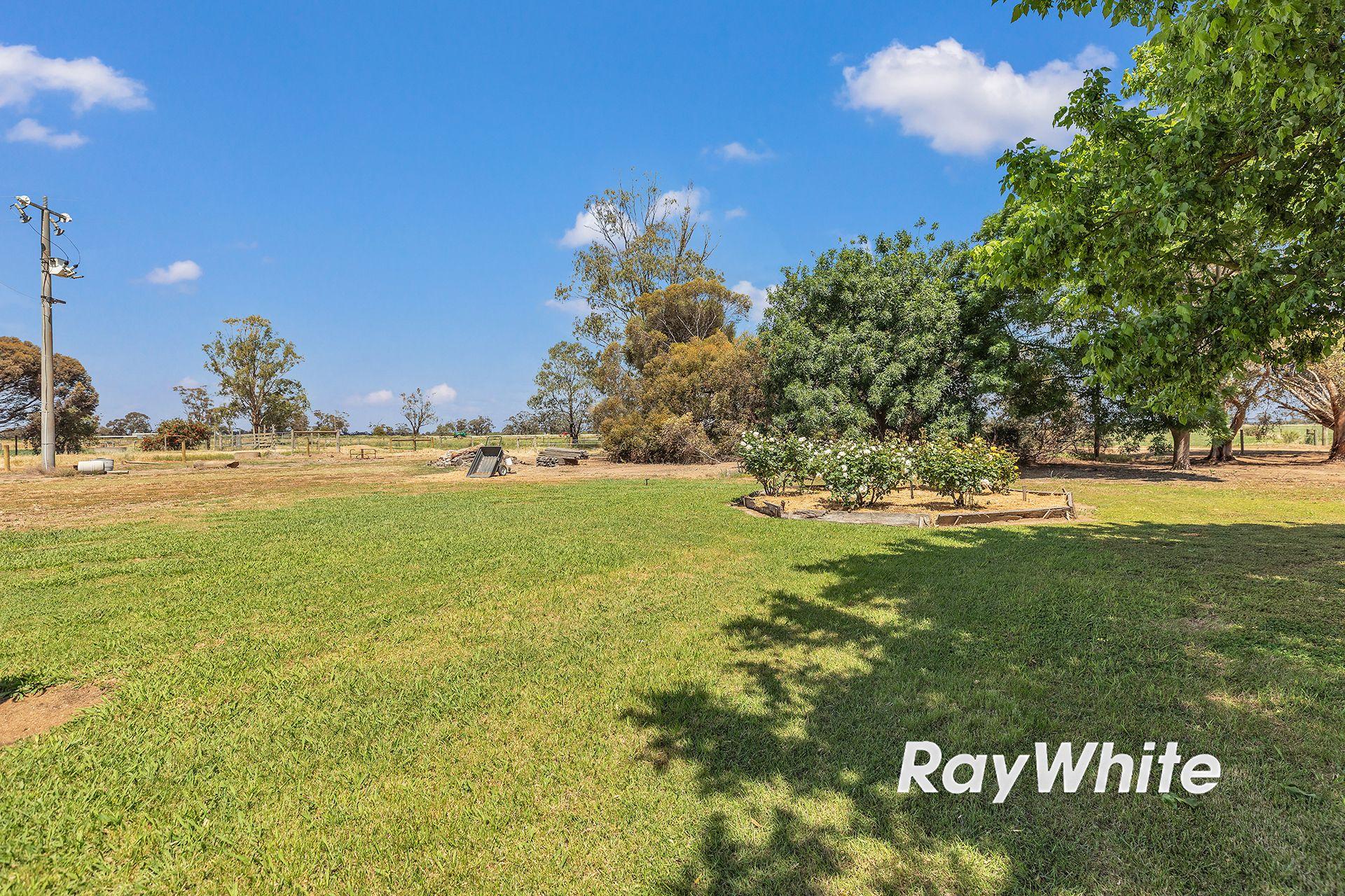 Peaceful Living Near the Murray River