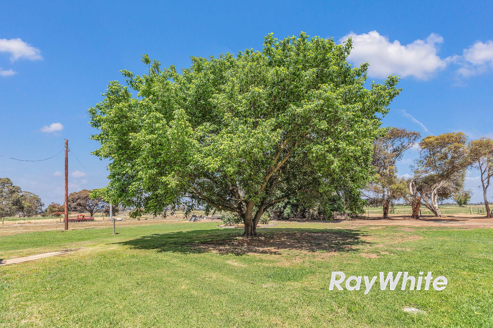 Peaceful Living Near the Murray River