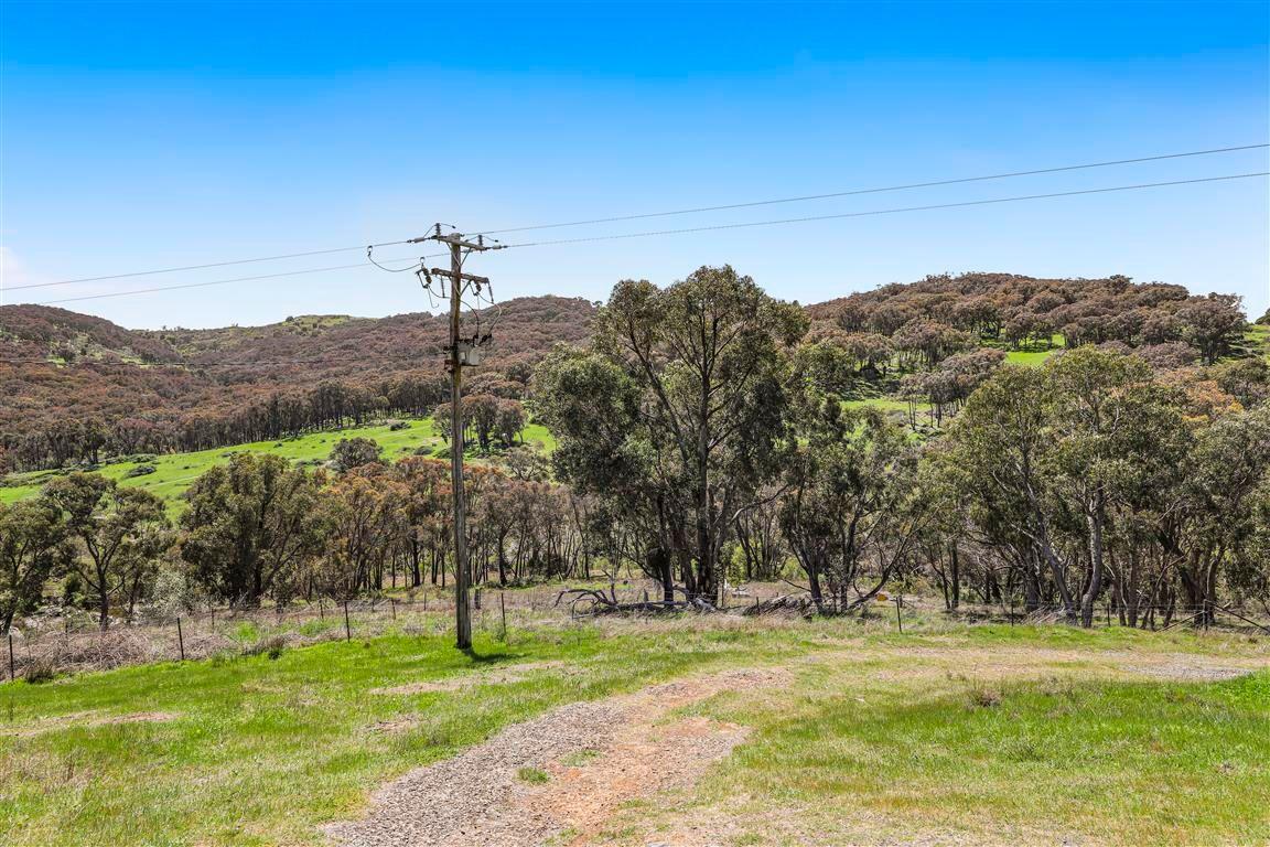 High Rainfall Grazing!
