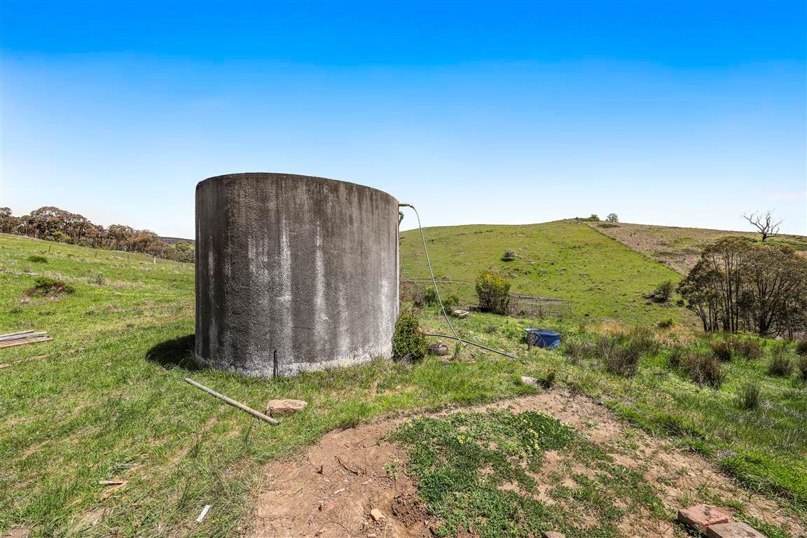 High Rainfall Grazing!