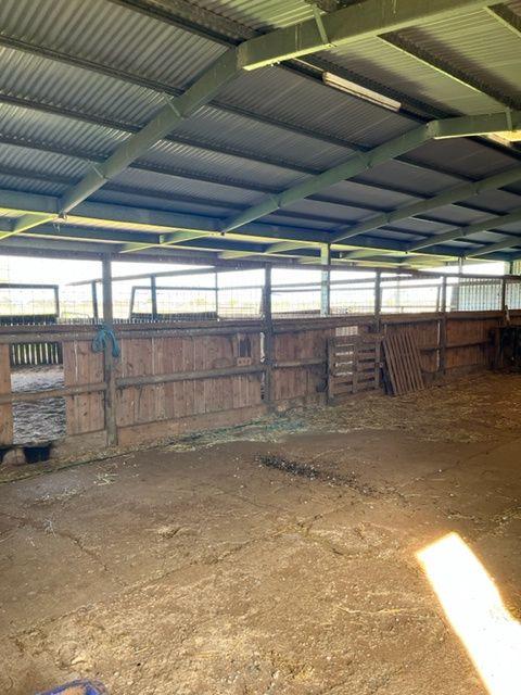 Spacious 3-Bedroom Family Home with Equine Facilities!