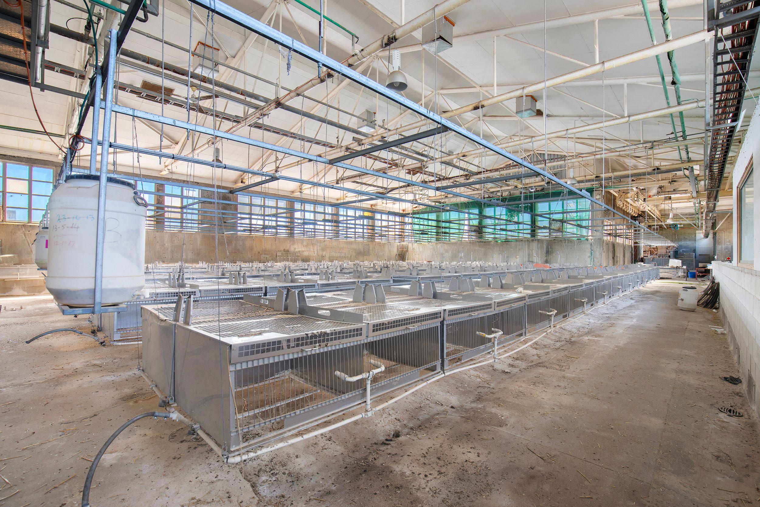 Unprecedented Opportunity: Industrial & Rural Land Holding on New England Highway