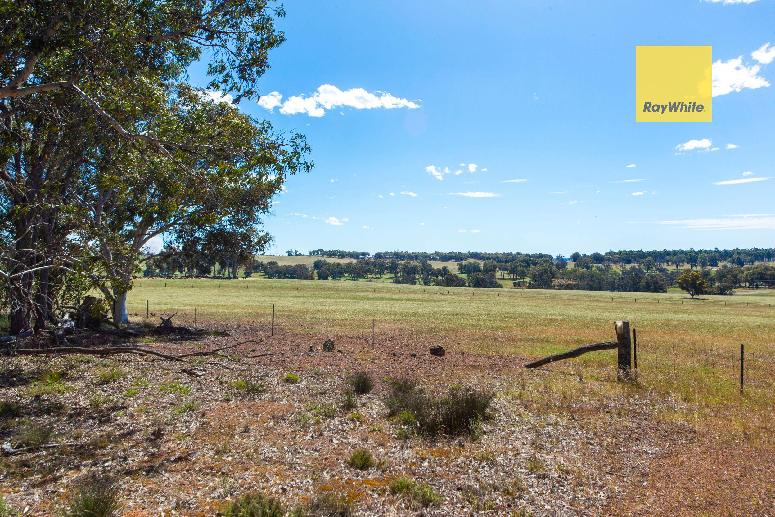 Your Blank Canvas for a Country Lifestyle