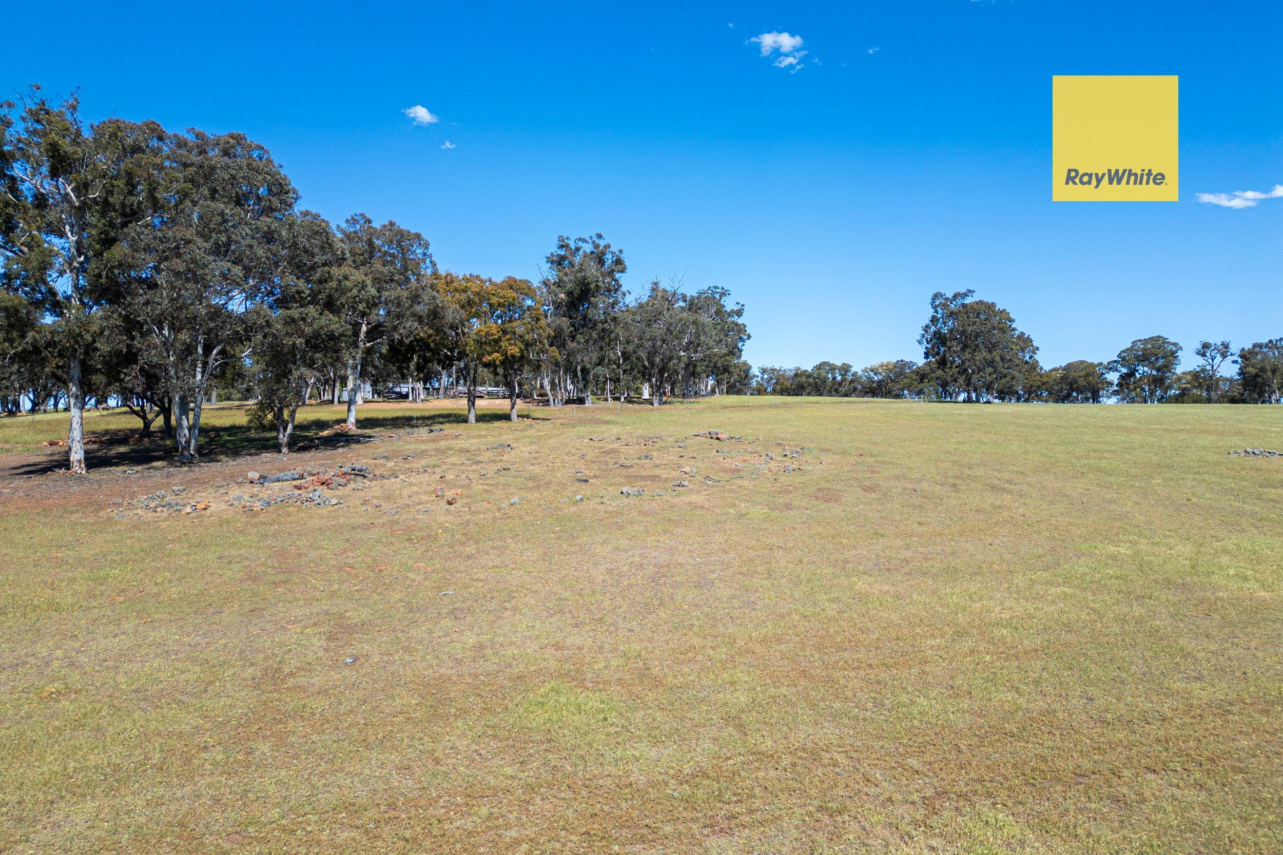 Your Blank Canvas for a Country Lifestyle