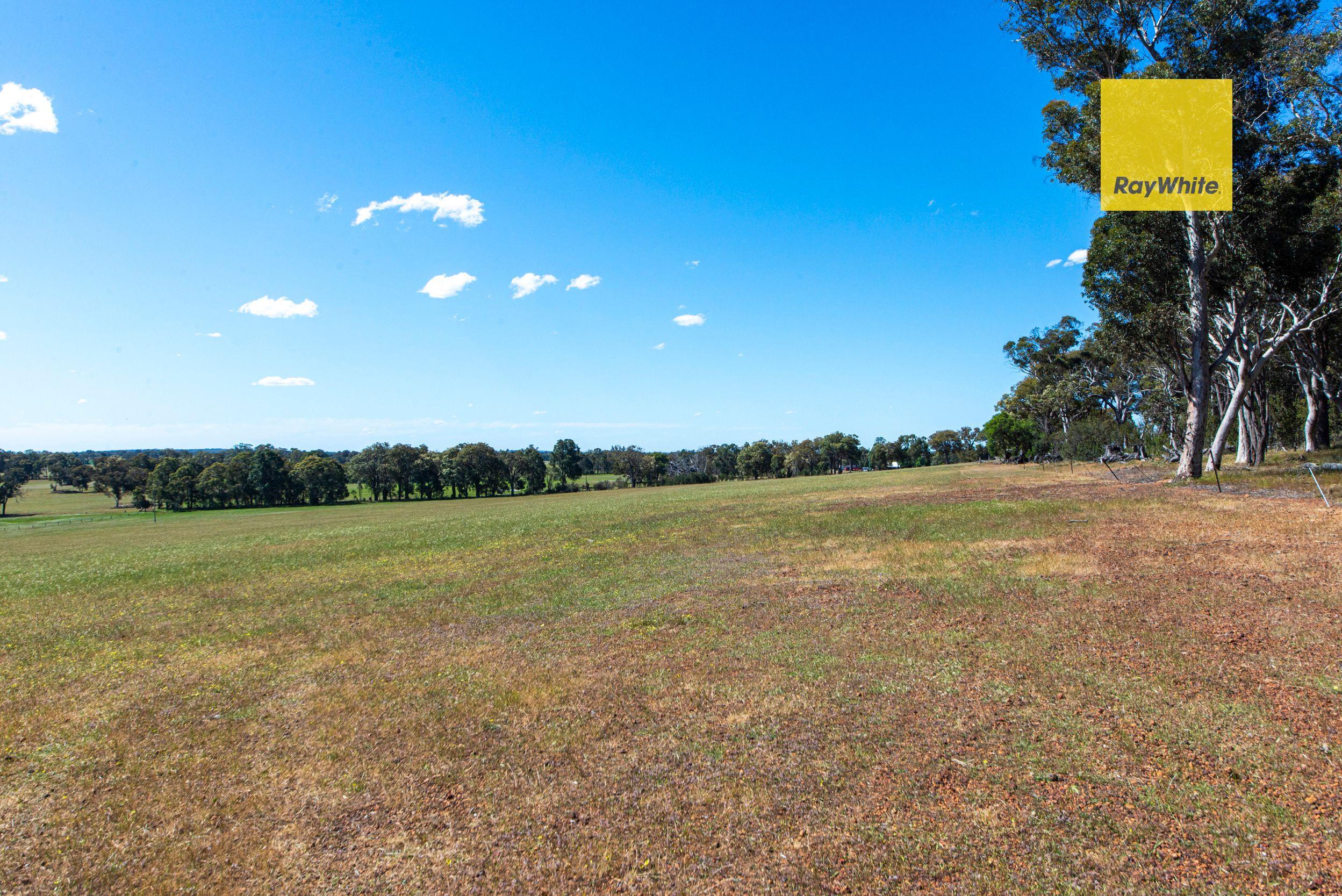 Your Blank Canvas for a Country Lifestyle