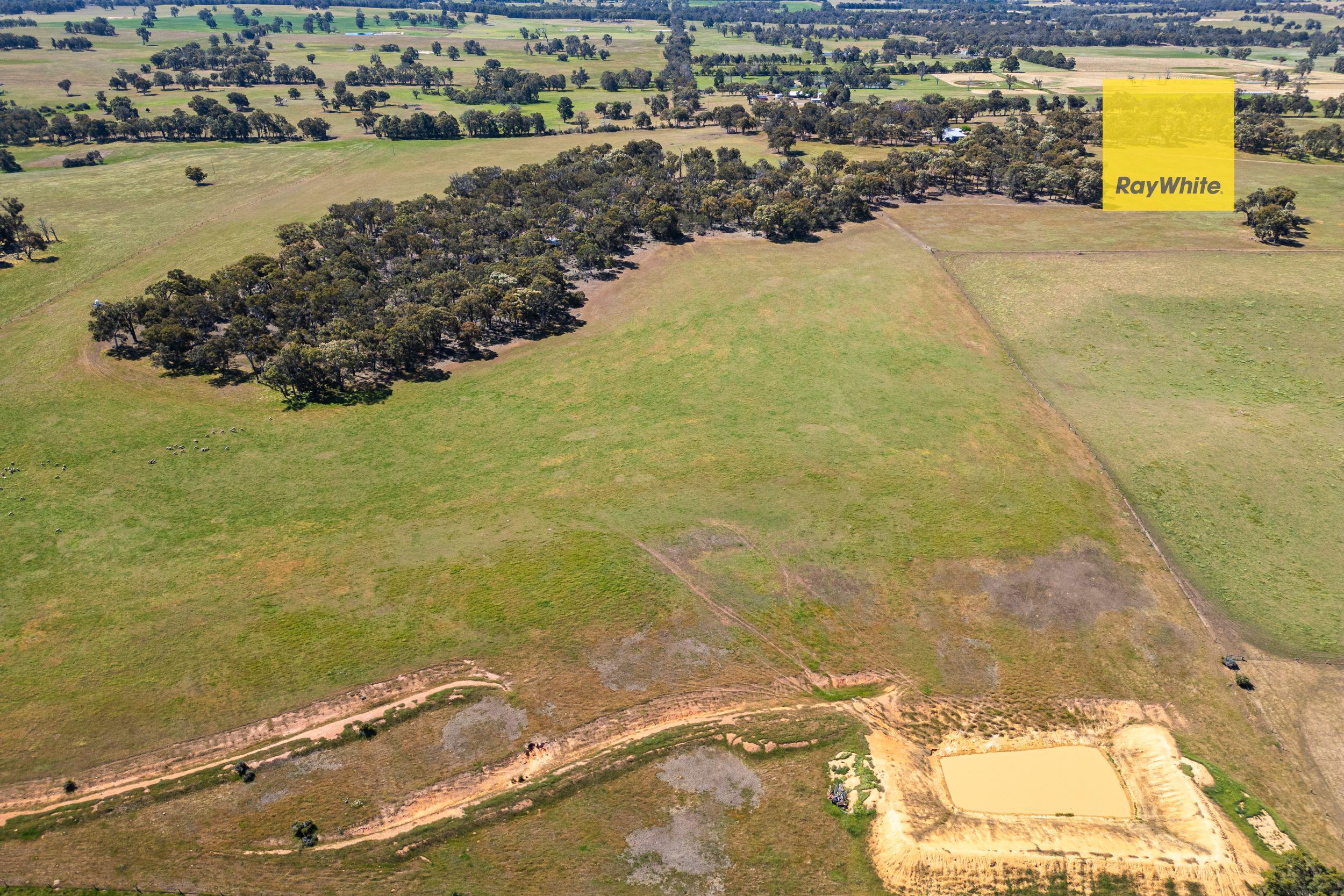 Your Blank Canvas for a Country Lifestyle