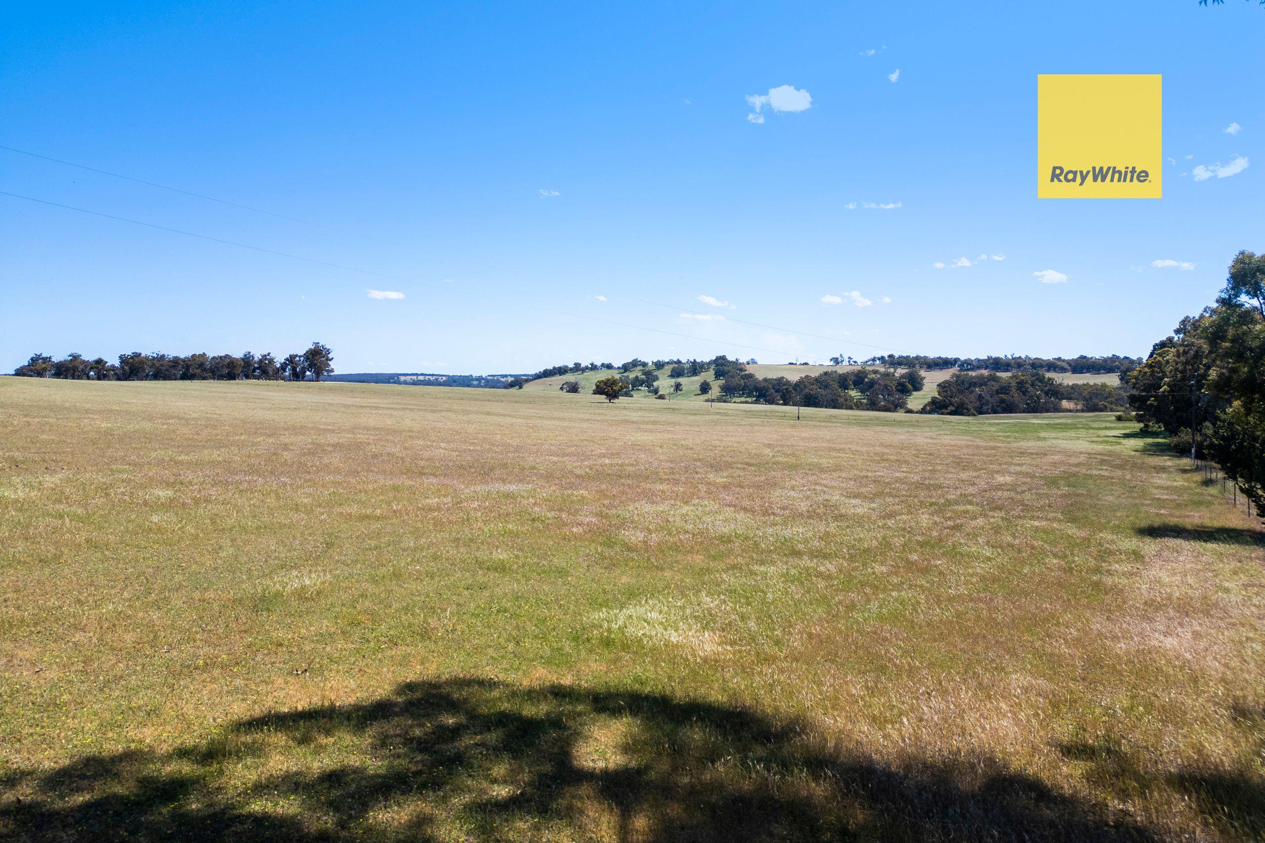 Your Blank Canvas for a Country Lifestyle