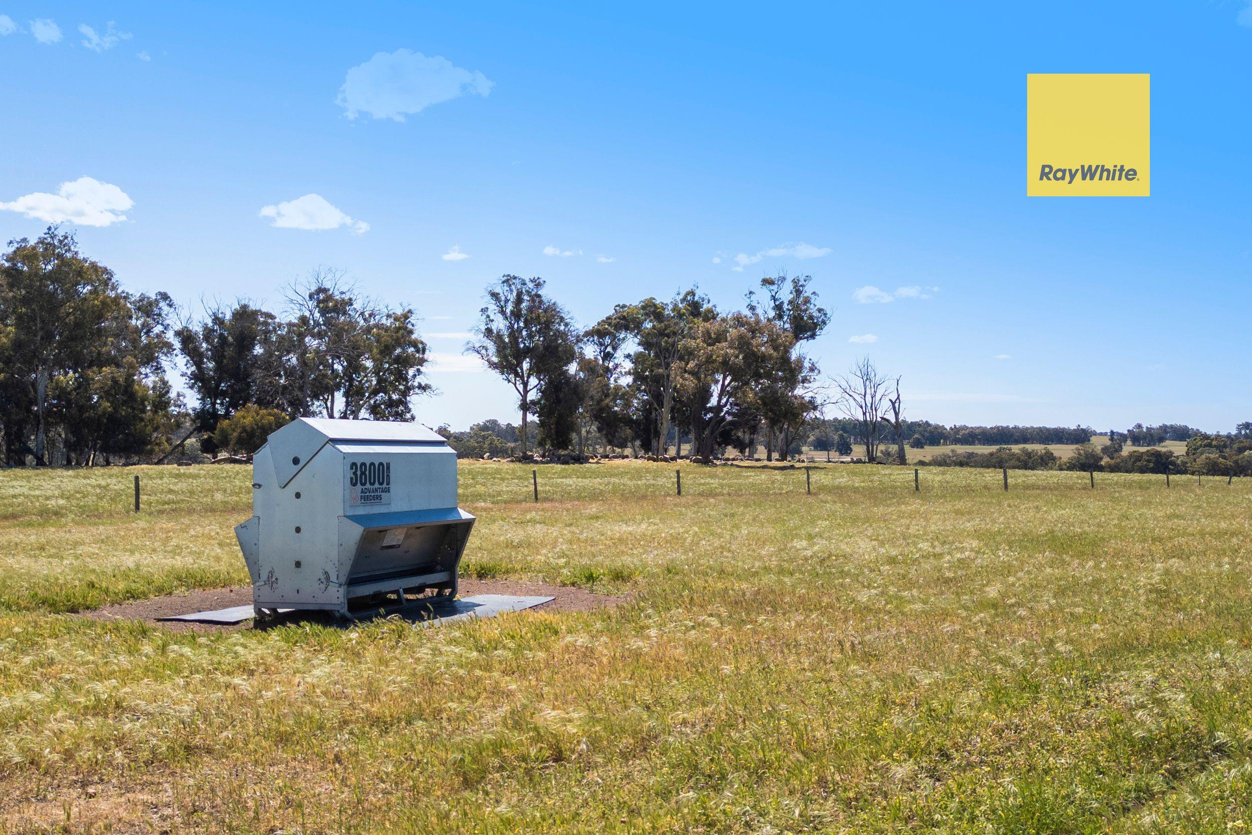 Your Blank Canvas for a Country Lifestyle