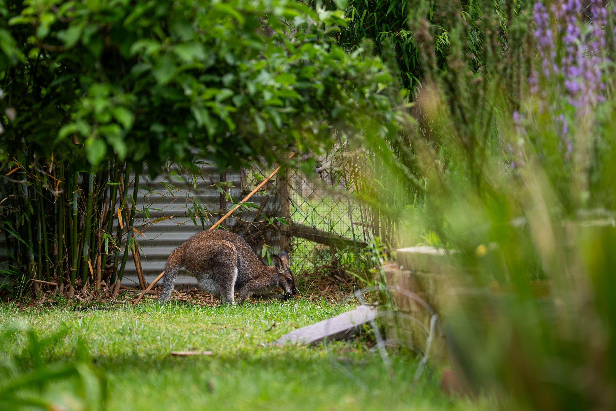 Tranquil Lifestyle Retreat on 25 Acres