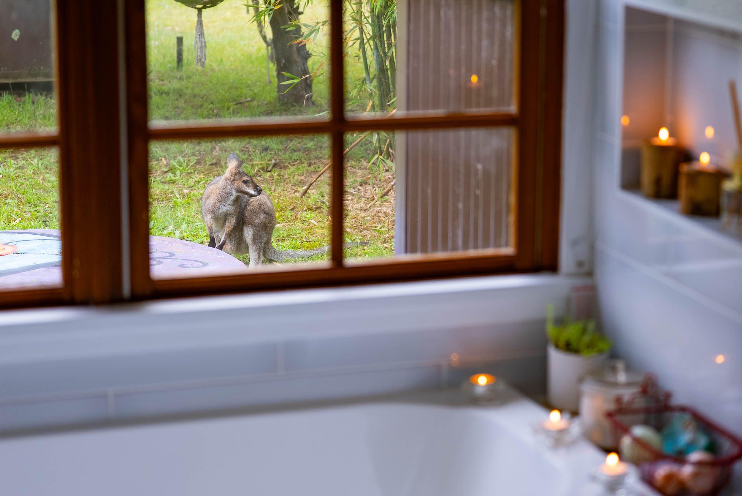 Tranquil Lifestyle Retreat on 25 Acres