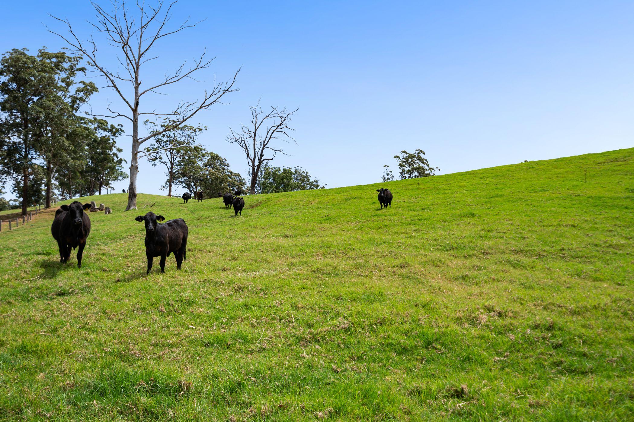 Where Lifestyle Meets Productivity!