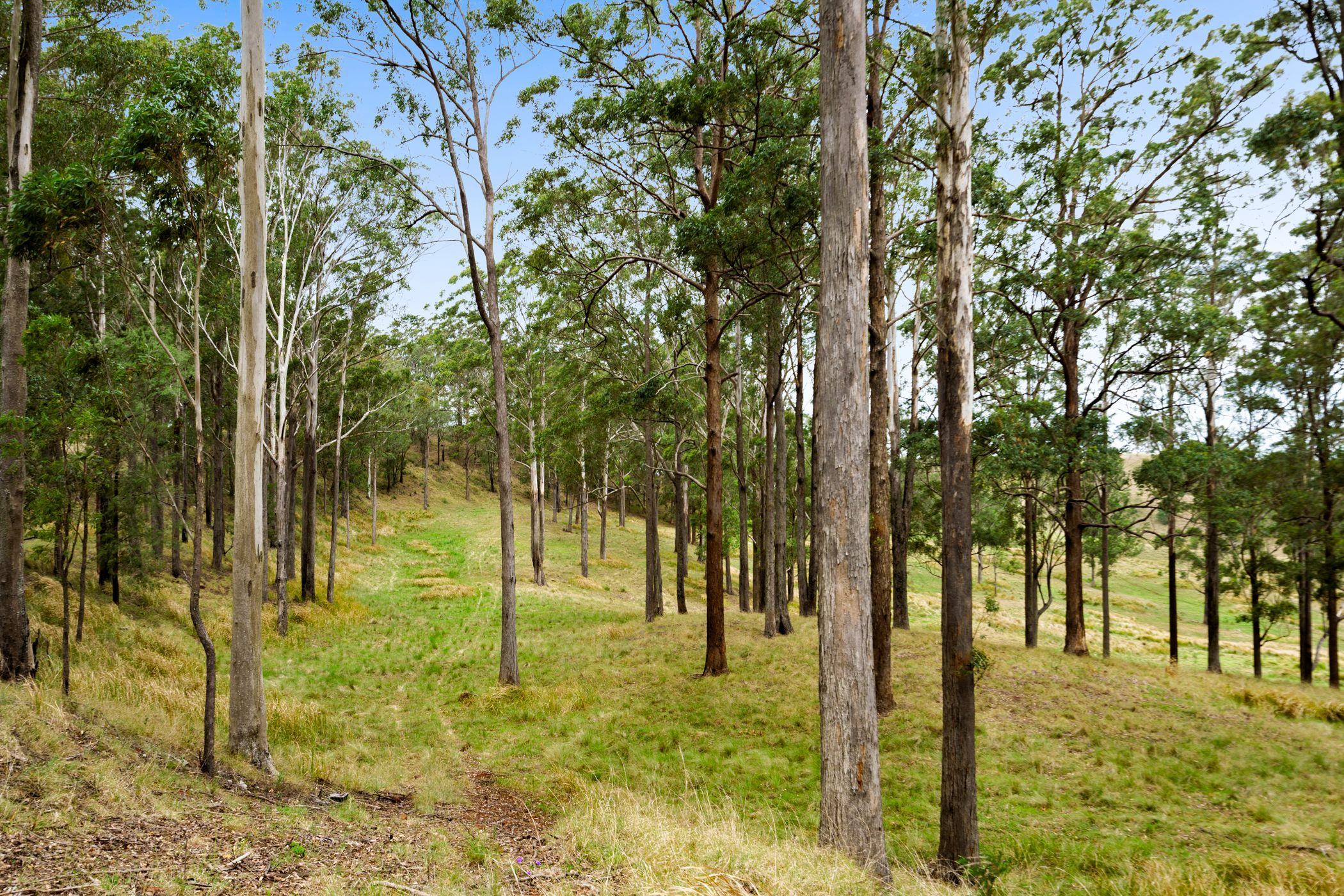 An Old Cliche We Know...But This Is The Dream Block!