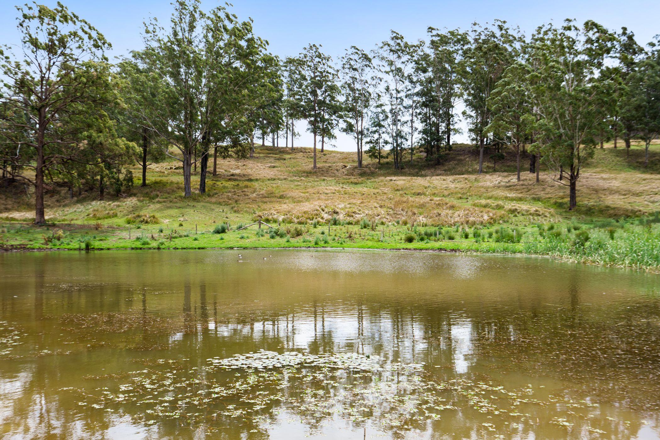 An Old Cliche We Know...But This Is The Dream Block!