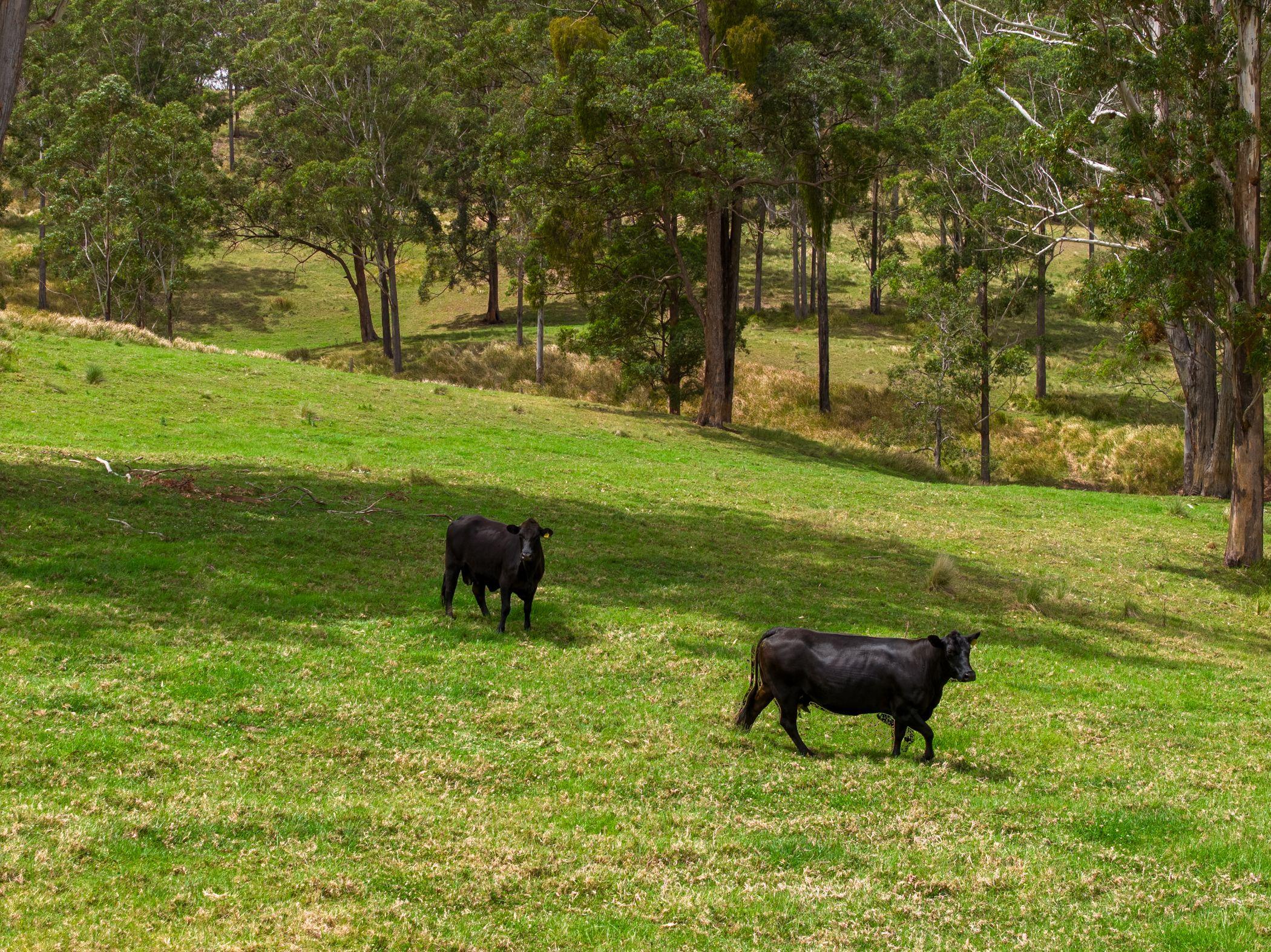 An Old Cliche We Know...But This Is The Dream Block!