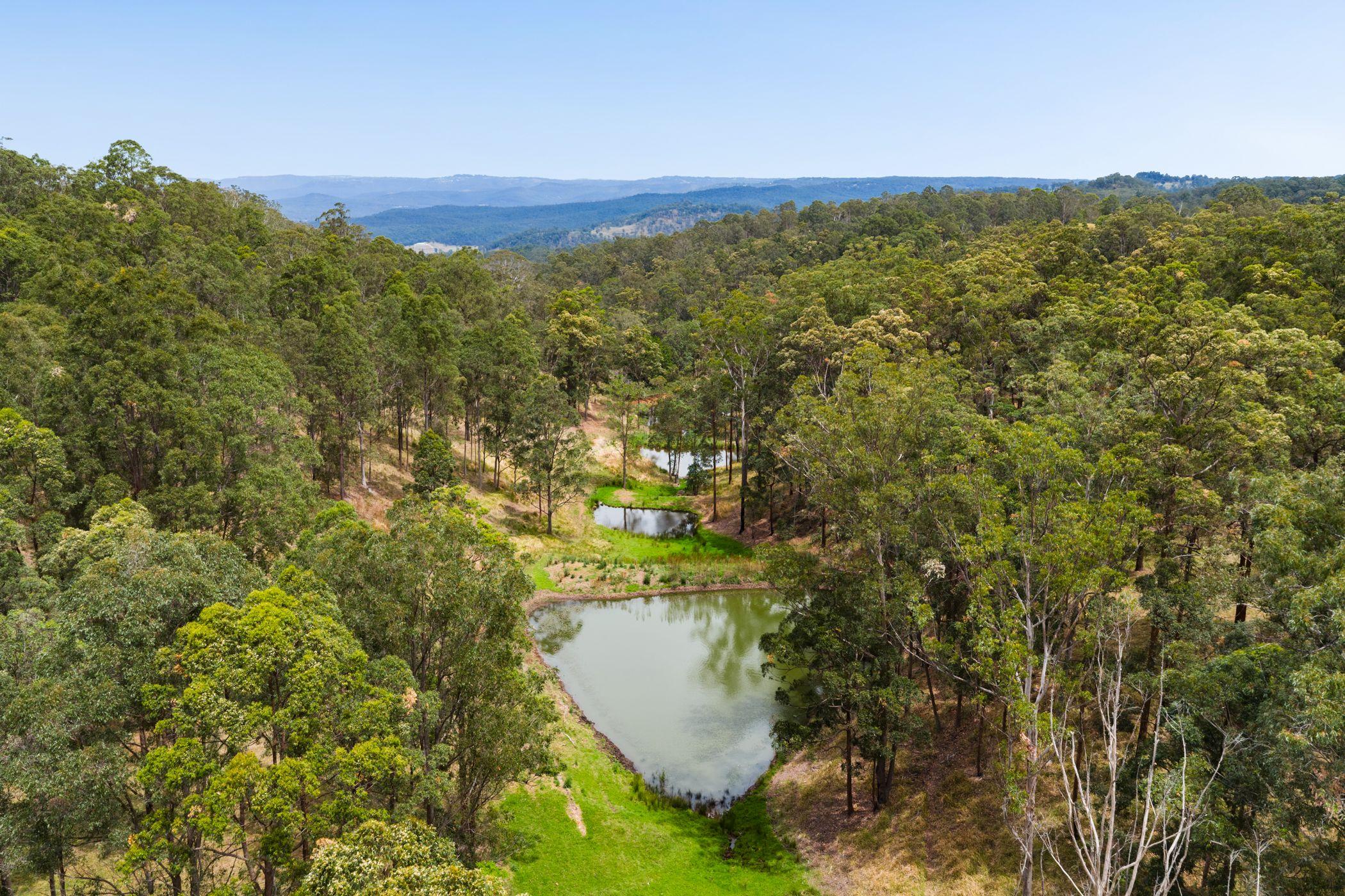 An Old Cliche We Know...But This Is The Dream Block!