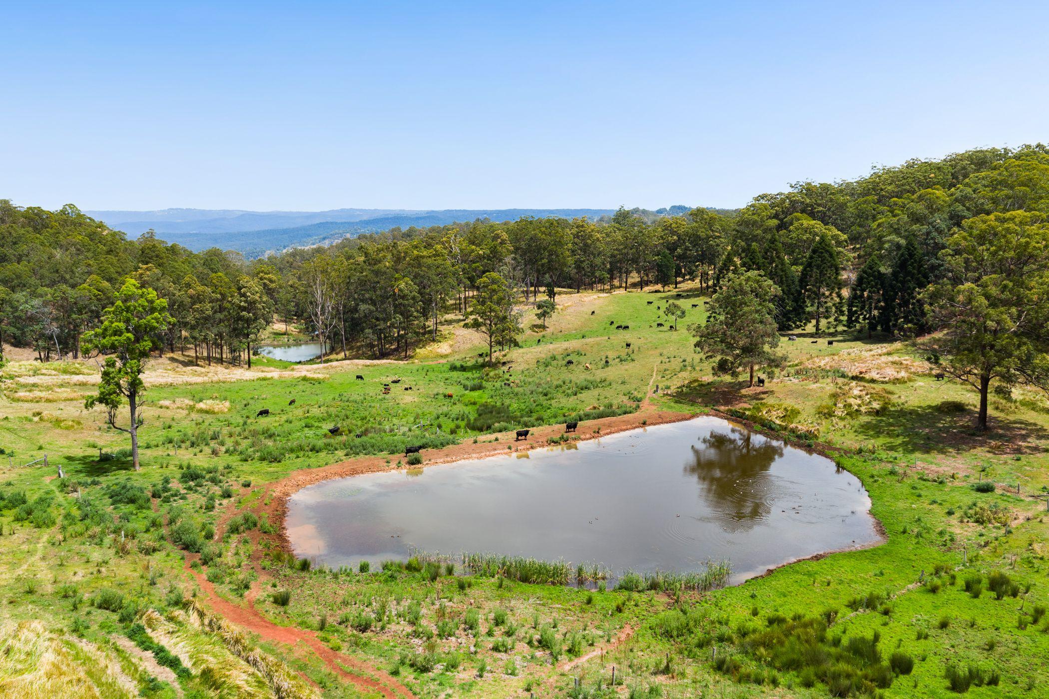 An Old Cliche We Know...But This Is The Dream Block!