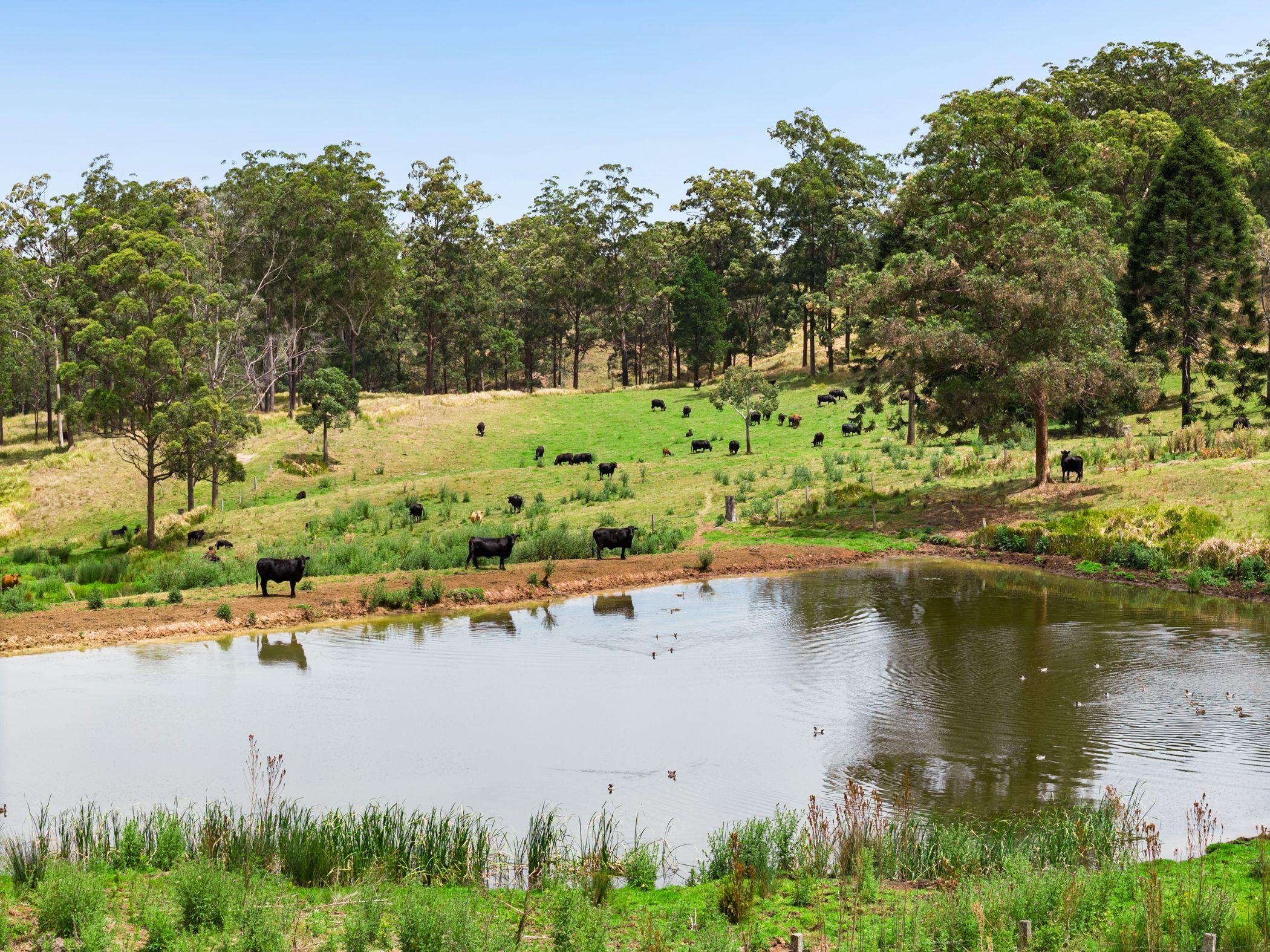 An Old Cliche We Know...But This Is The Dream Block!