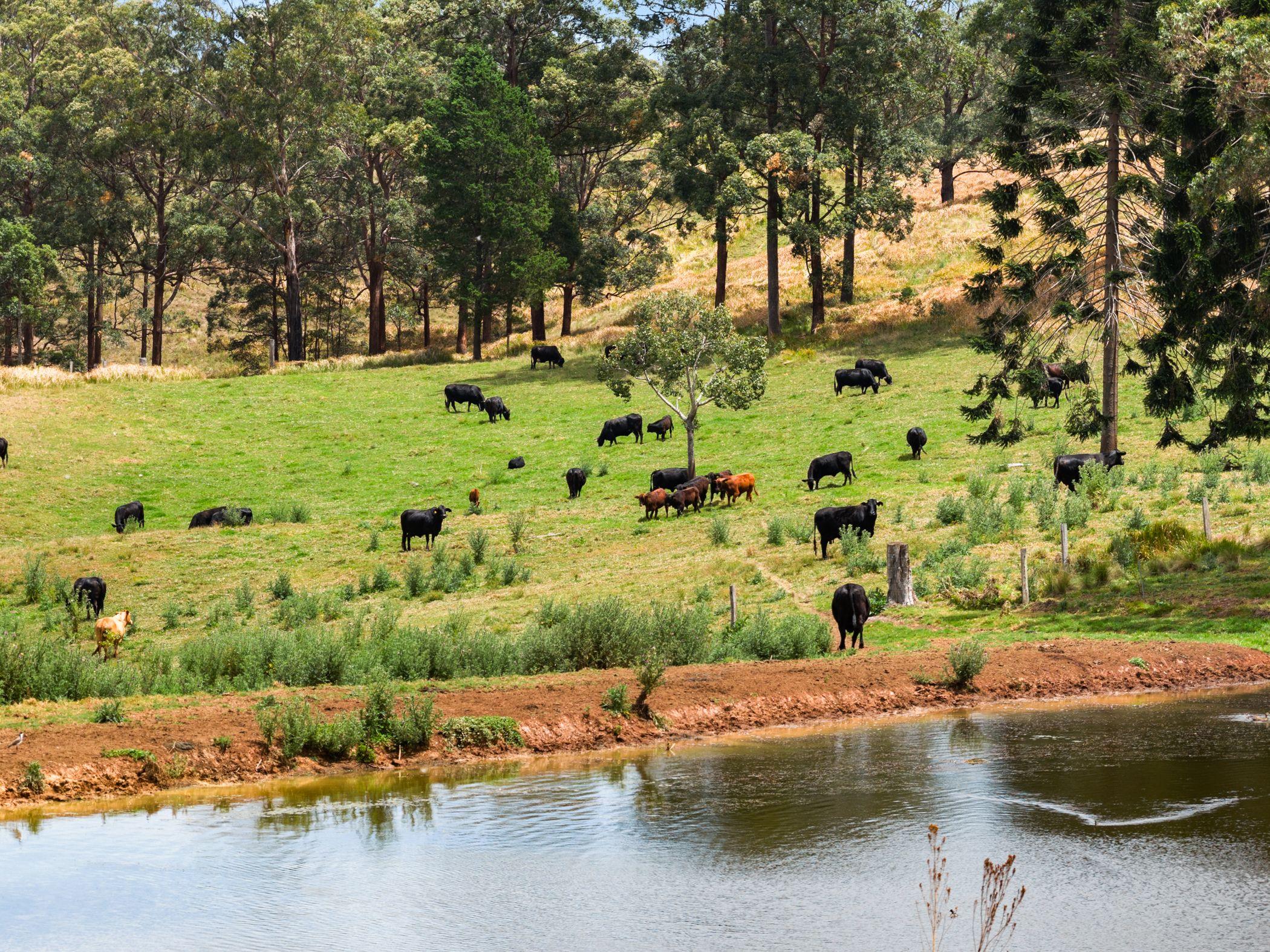An Old Cliche We Know...But This Is The Dream Block!